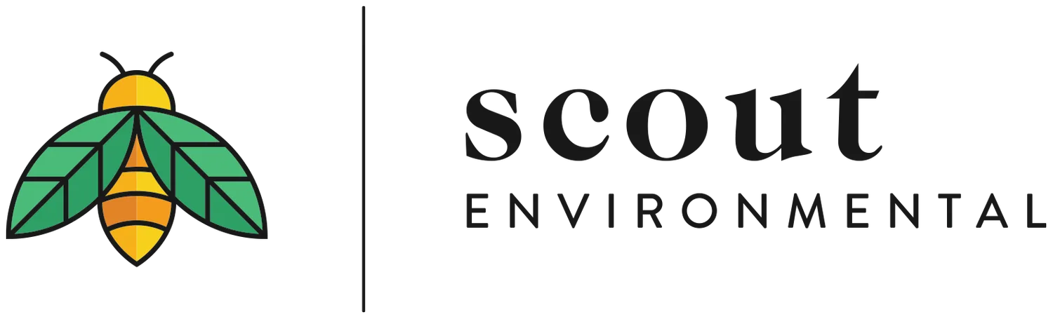 Scout Environmental