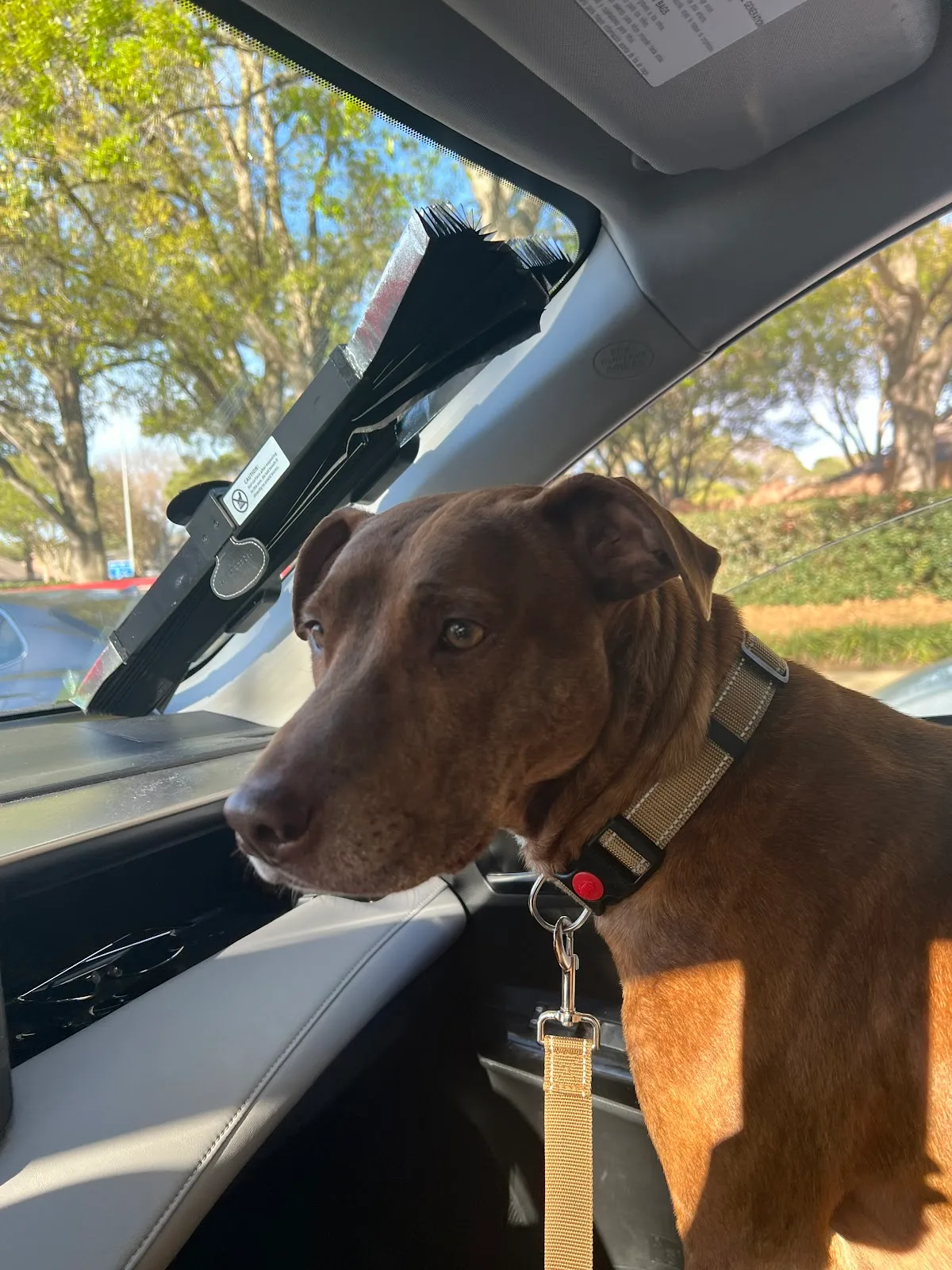 Honoring Hope and Faith Rescue