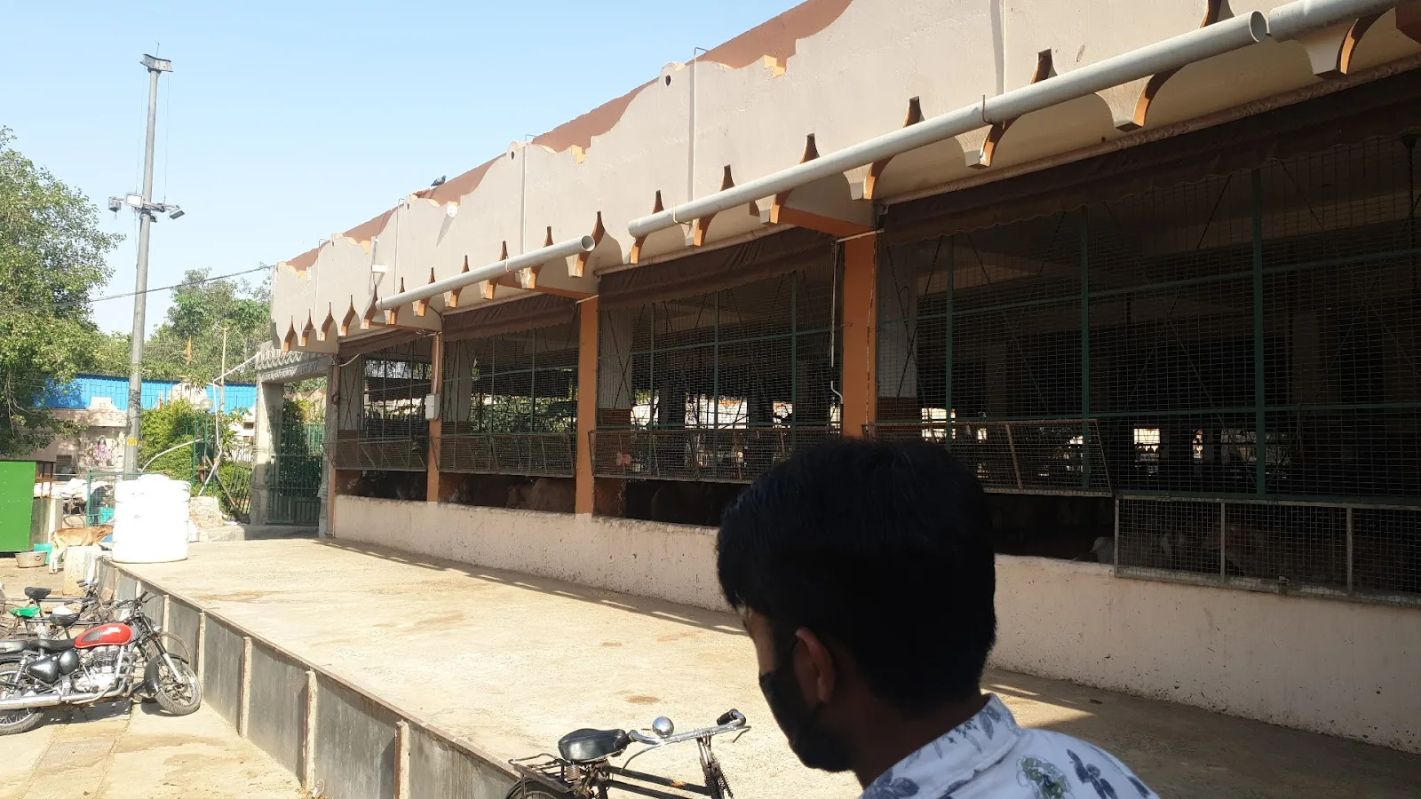 Delhi Pinjarapol Society - Gaushala