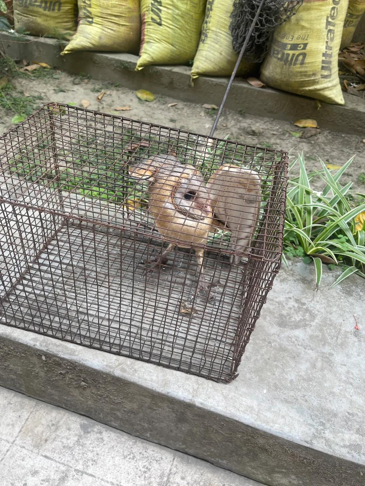 Wild Animal Rescue & Transit Facility Centre