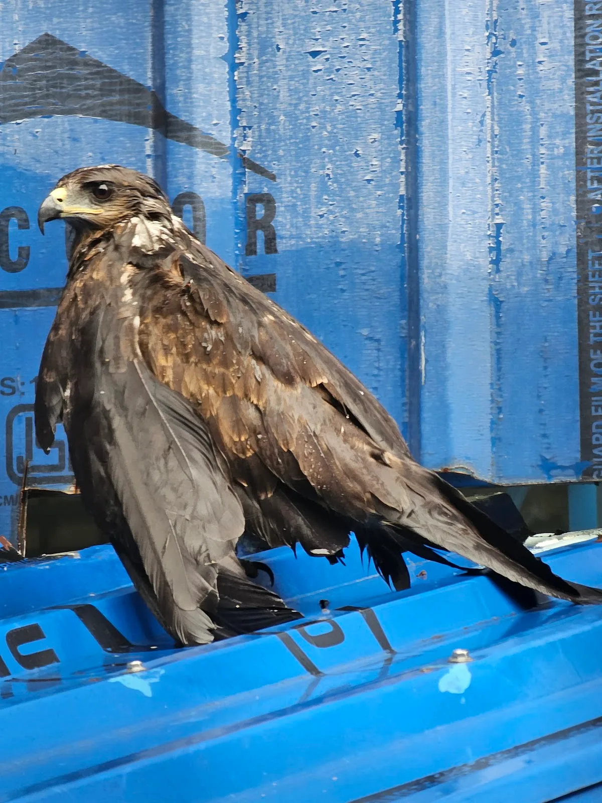Wild Animal Rescue & Transit Facility Centre