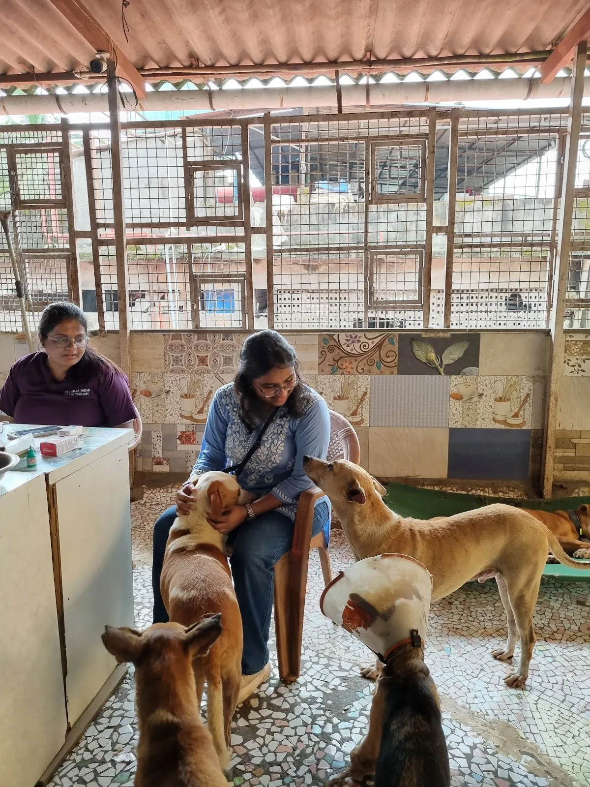 Bhumi Jeevdaya Samvardhan Trust