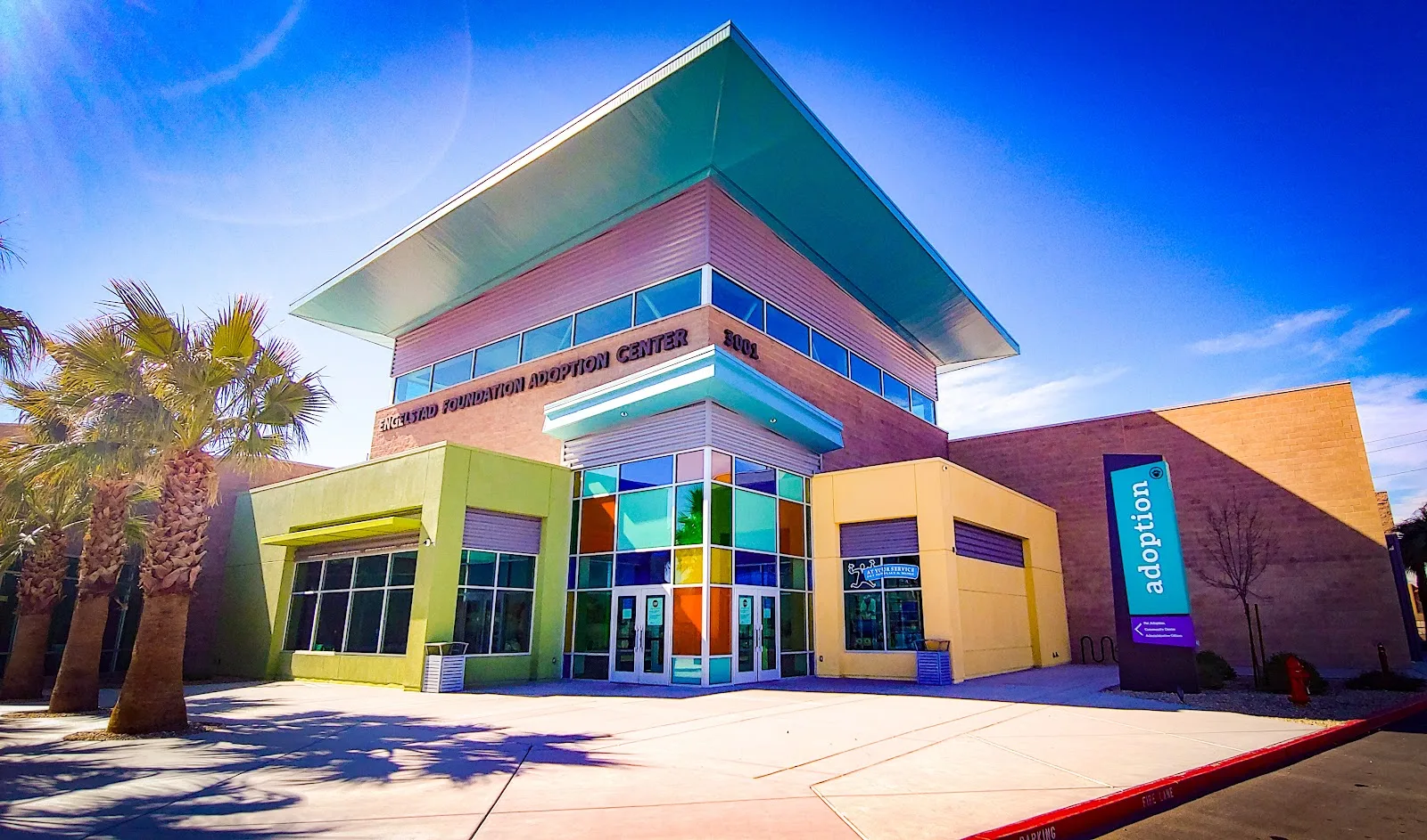 The Animal Foundation
