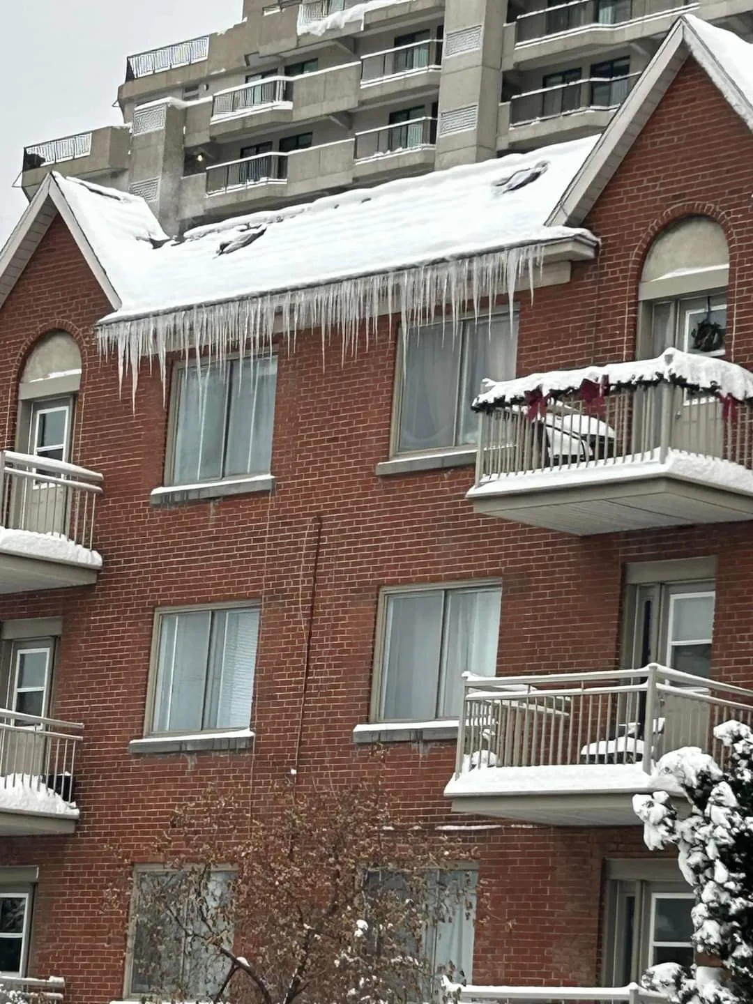 Montreal City Mission