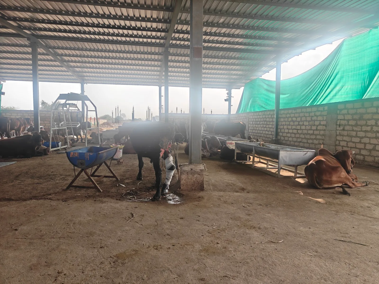 Shree Ramrachit Foundation Trust - Rajkot