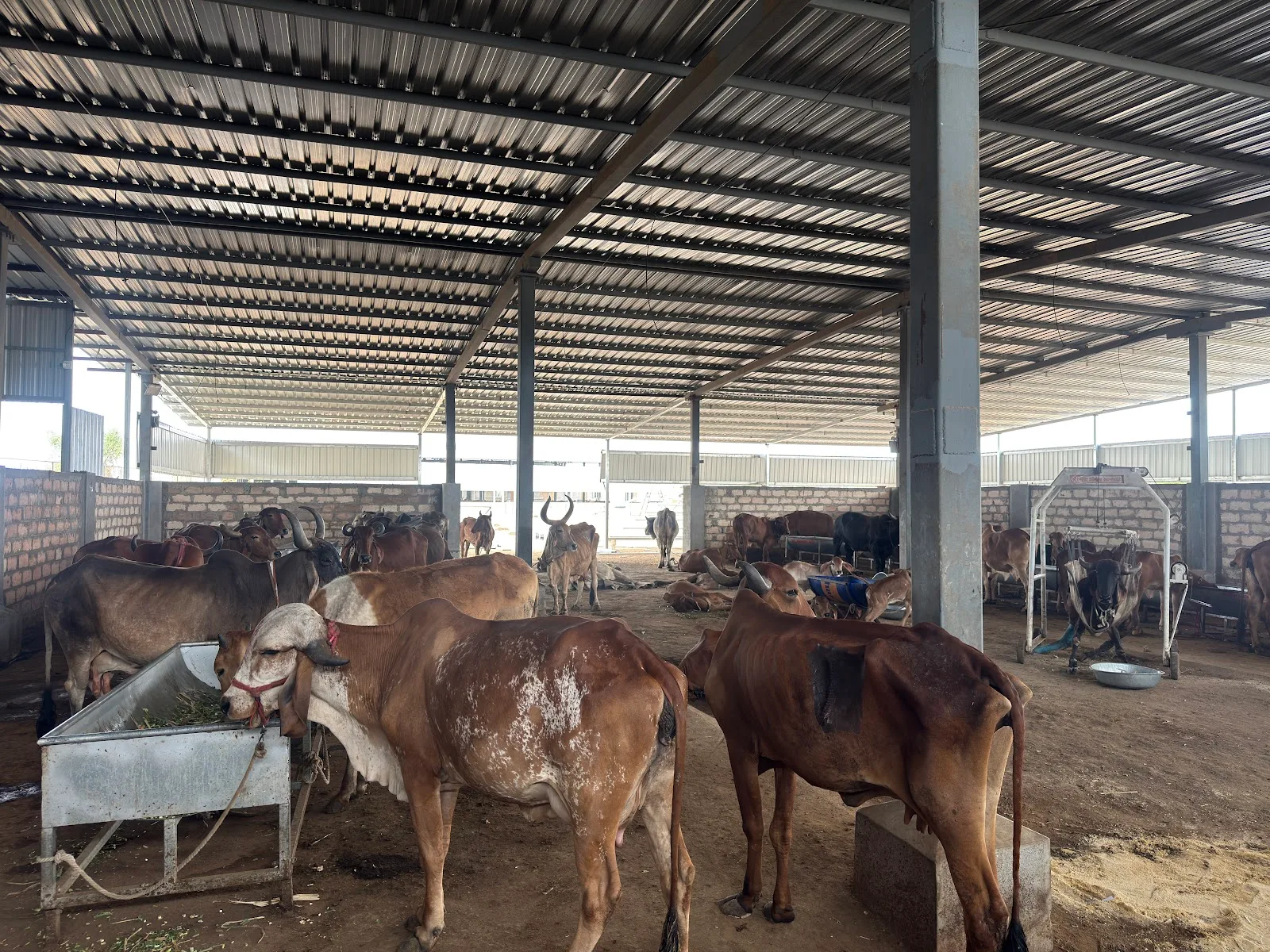Shree Ramrachit Foundation Trust - Rajkot