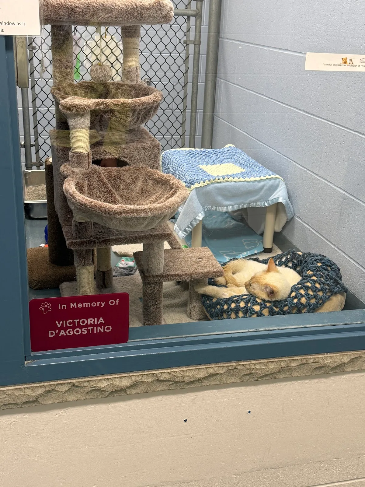 Kitchener Waterloo Humane Society