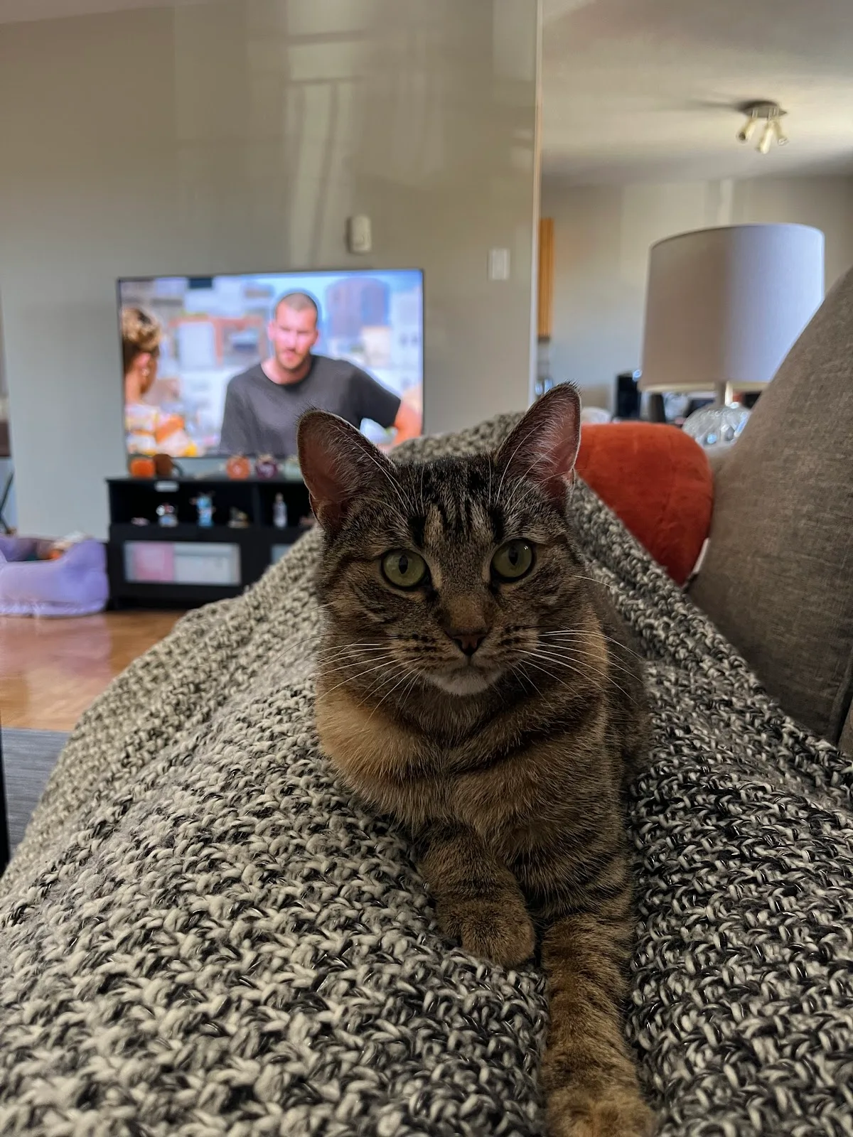 Kitchener Waterloo Humane Society