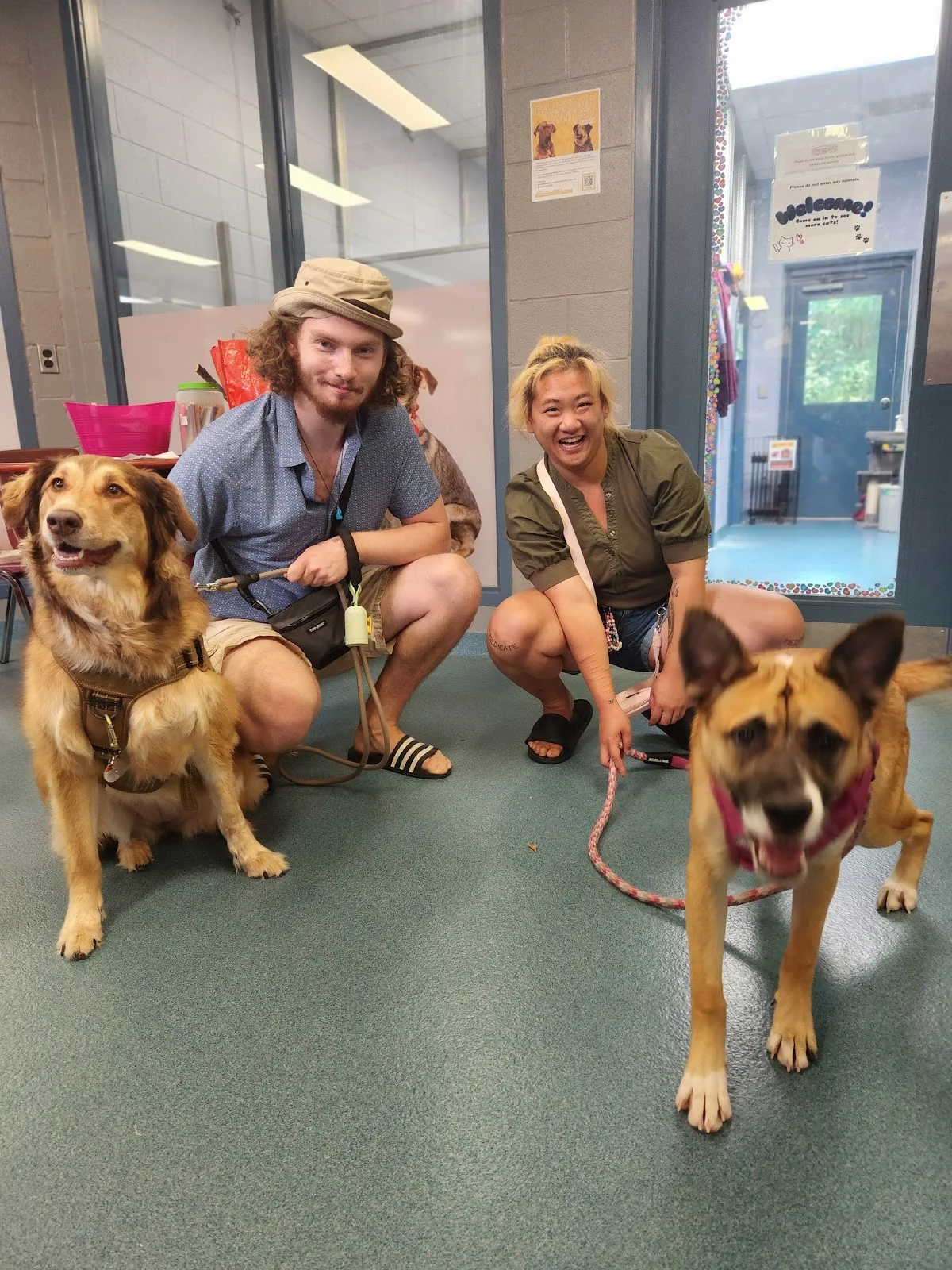 Kitchener Waterloo Humane Society