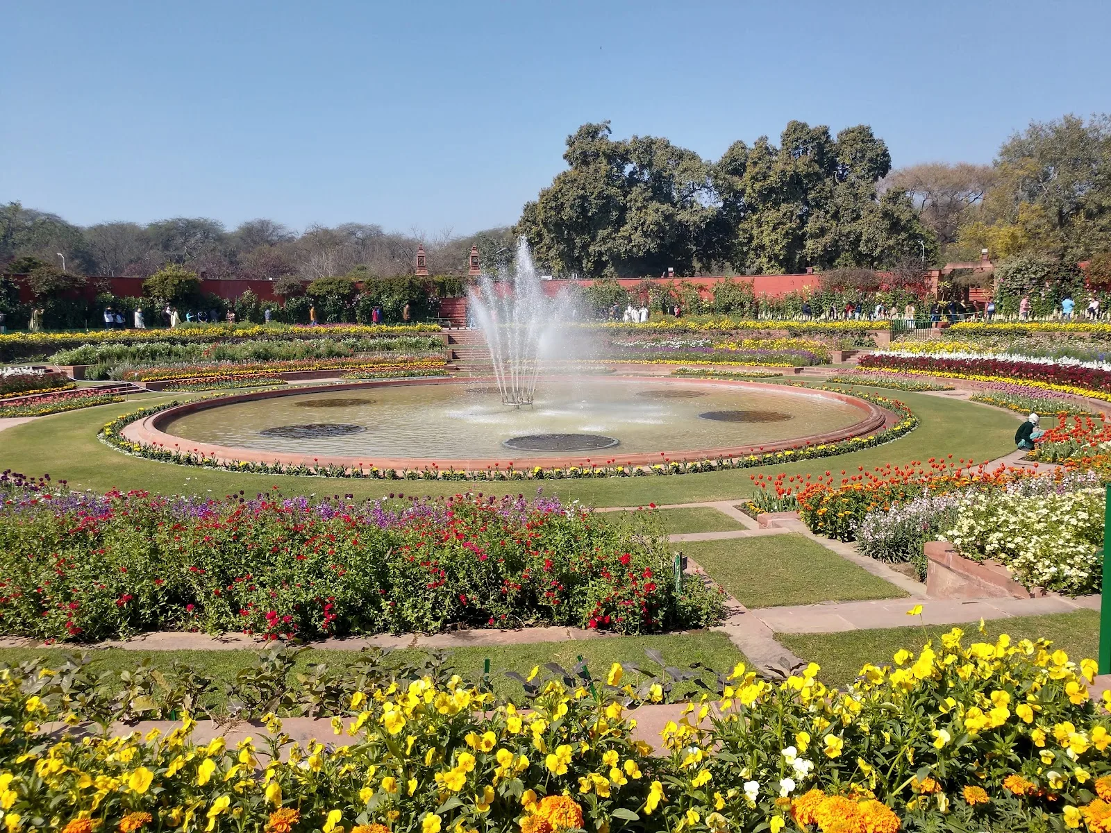 The President's Estate