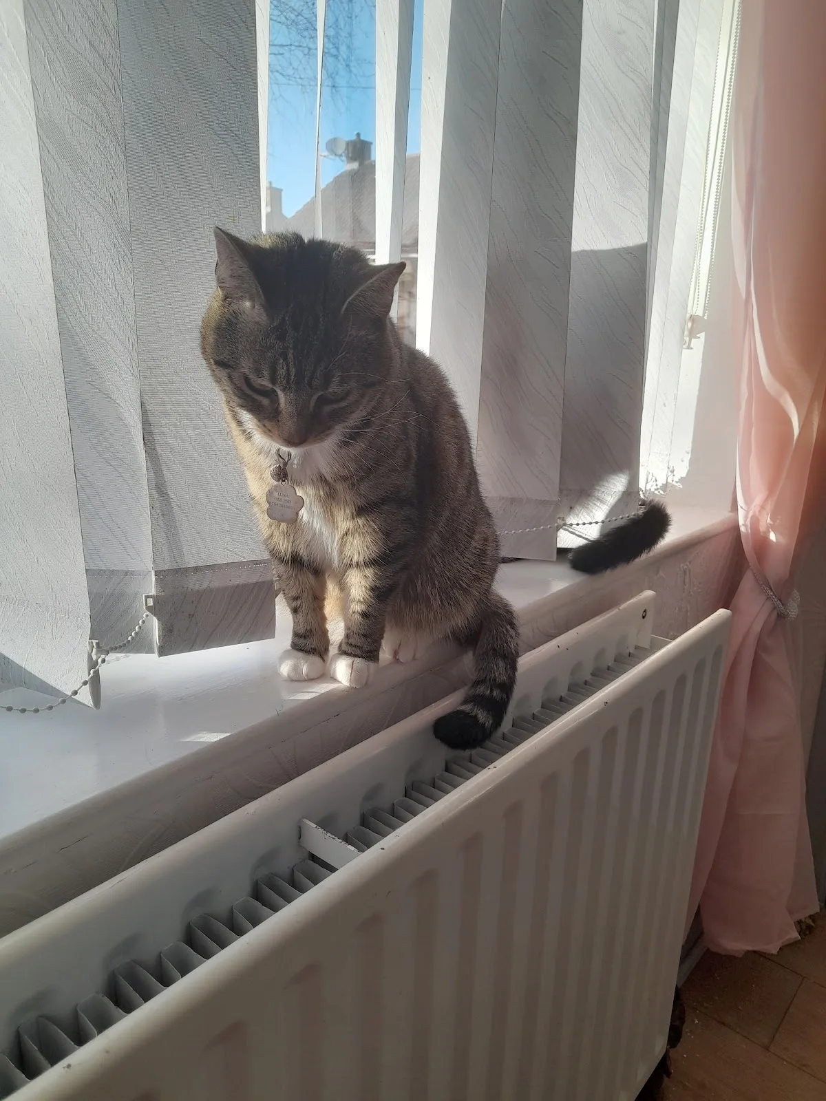 Pennine Pen Animal Rescue CIO