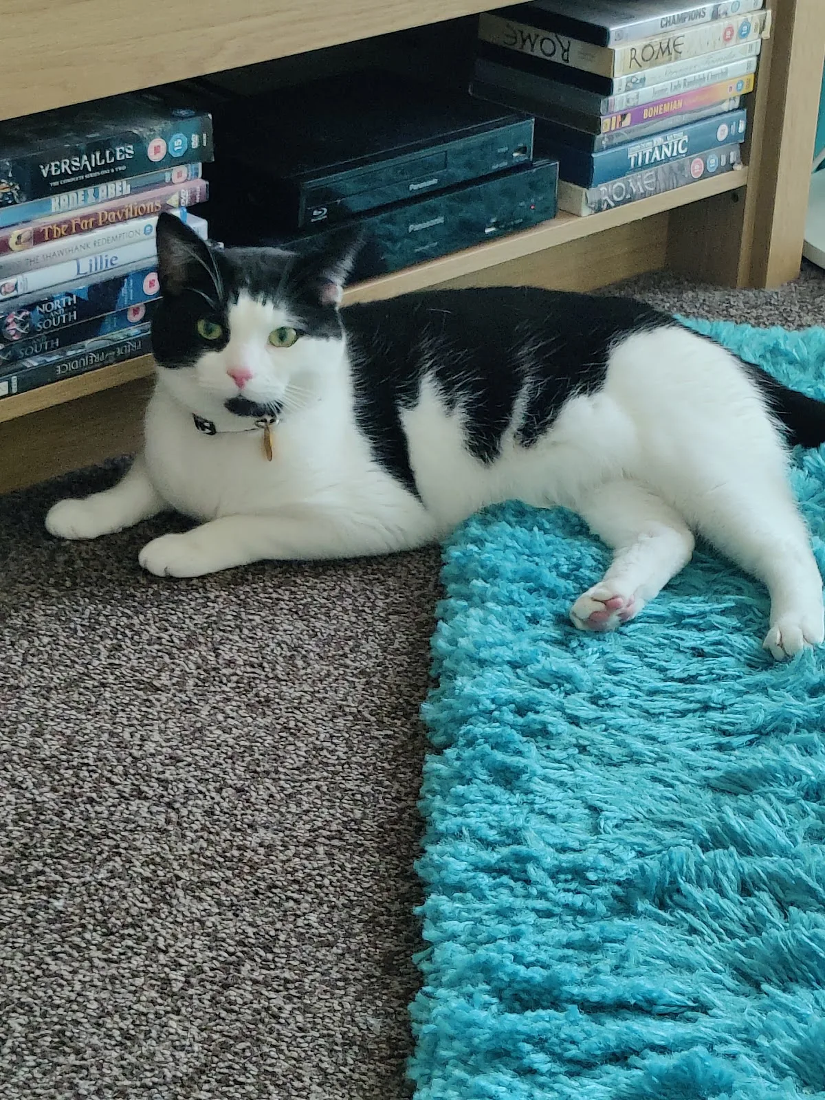 Pennine Pen Animal Rescue CIO