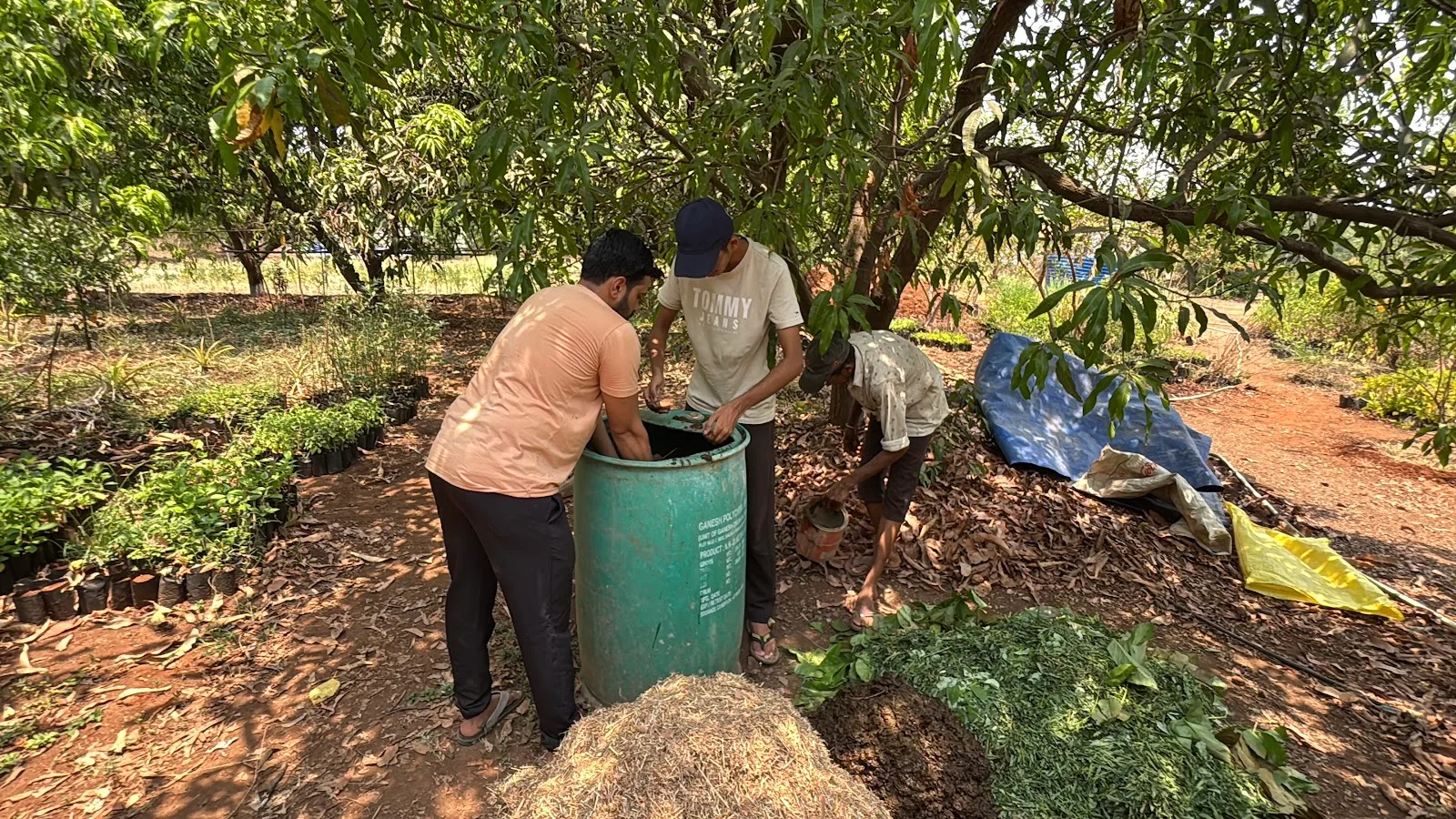 Kokan Permaculture