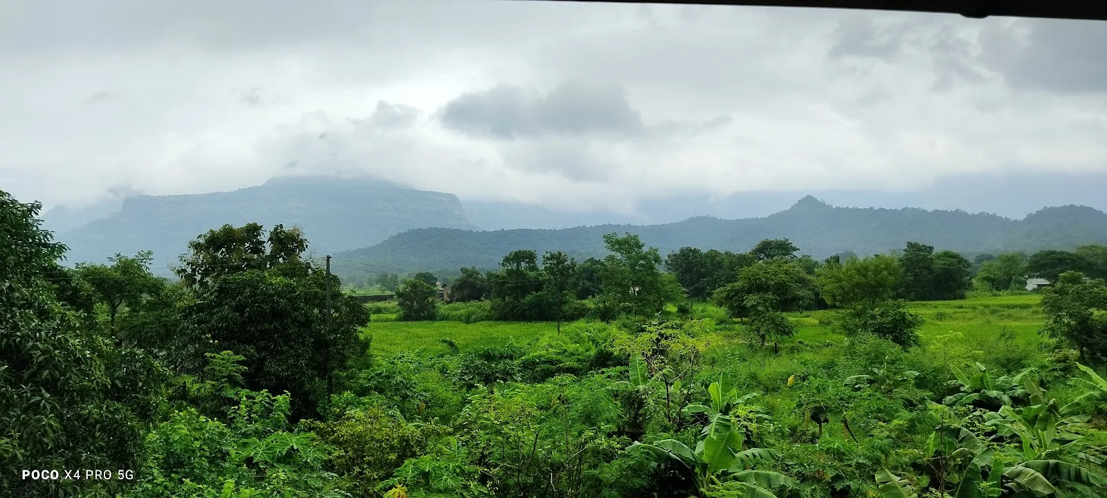 Kokan Permaculture