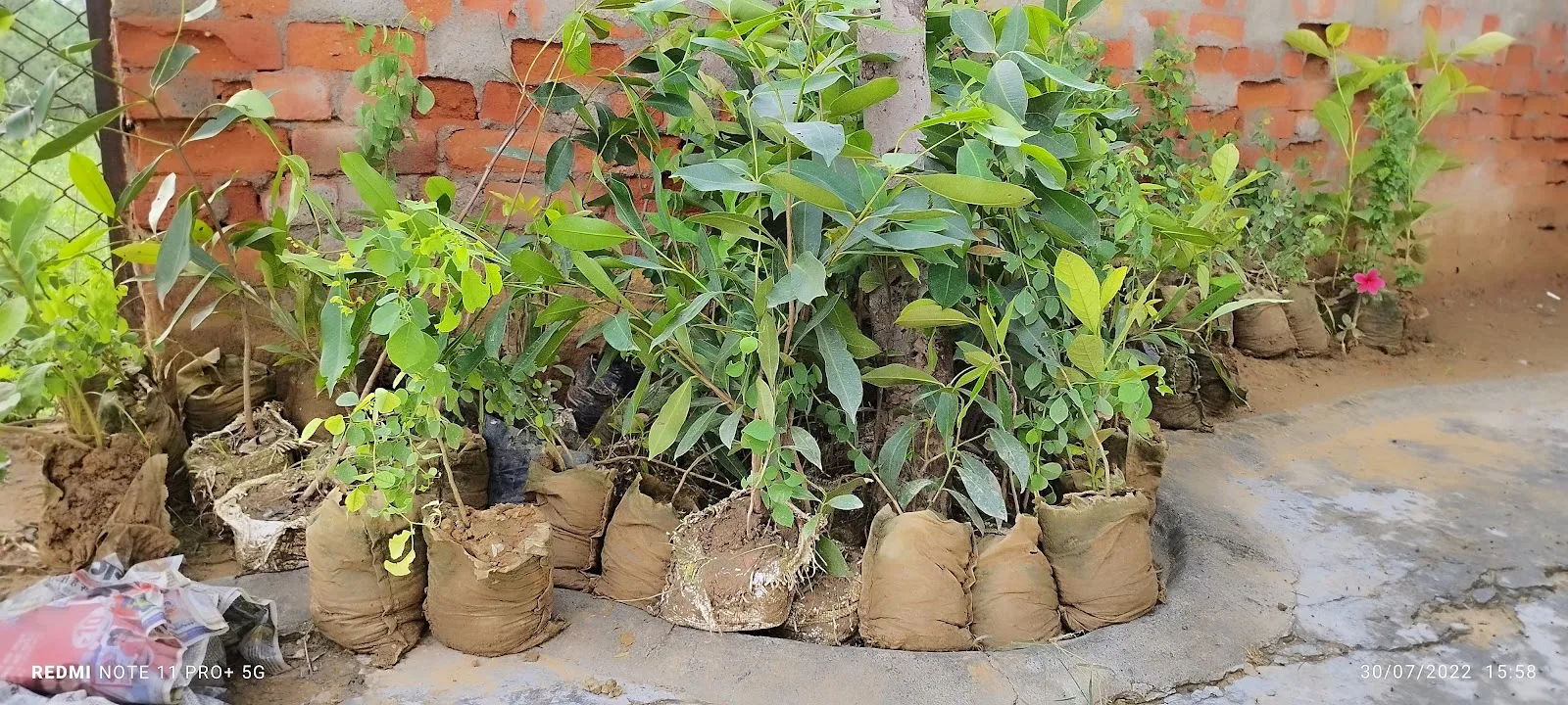 Sarvha Foundation