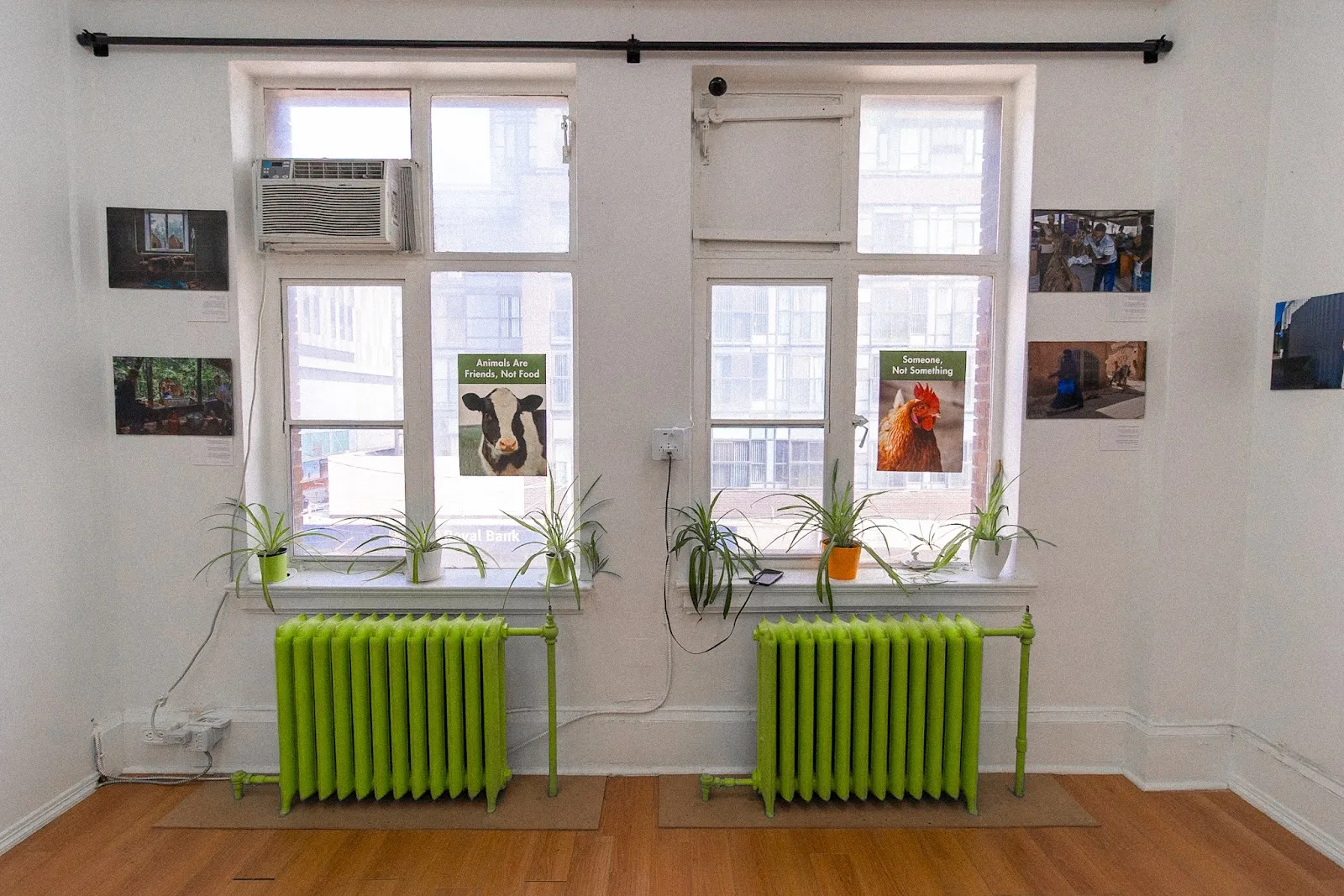 Wishbone Animal Rights Lab