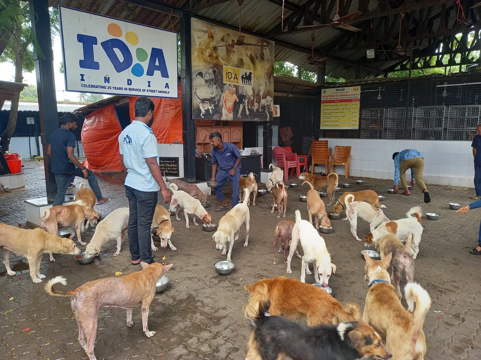 IDA India - Deonar
