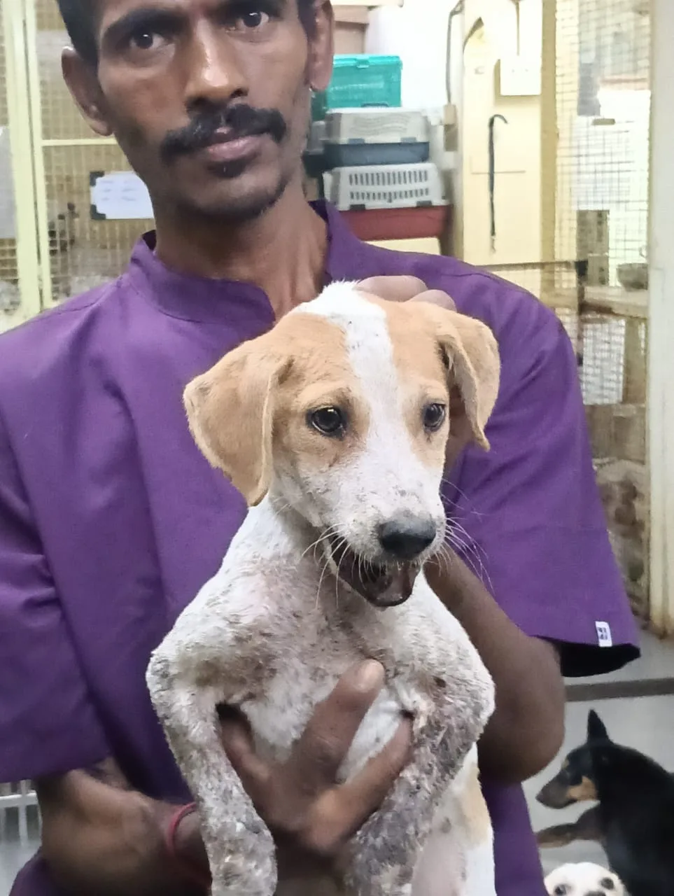 The Kibo Project Community Small Animal Medical Treatment Centre and Clinic