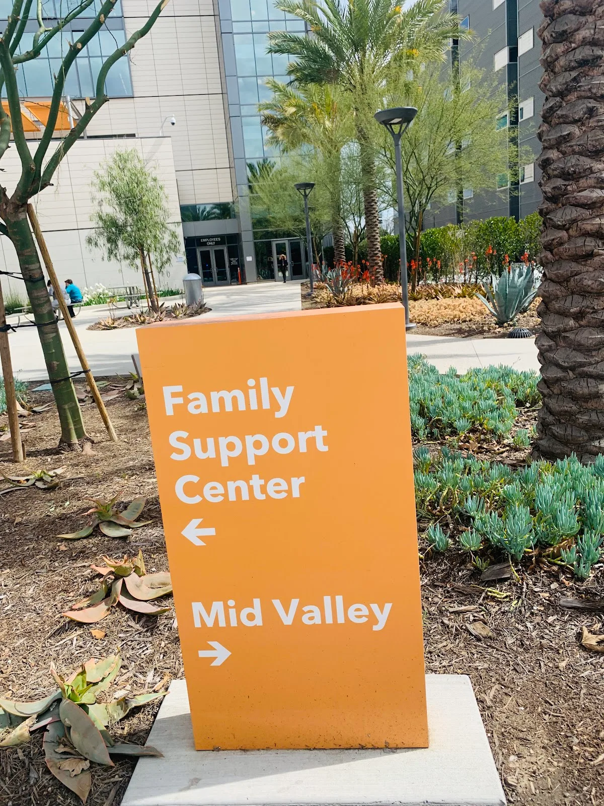 Los Angeles County Department of Children and Family Services