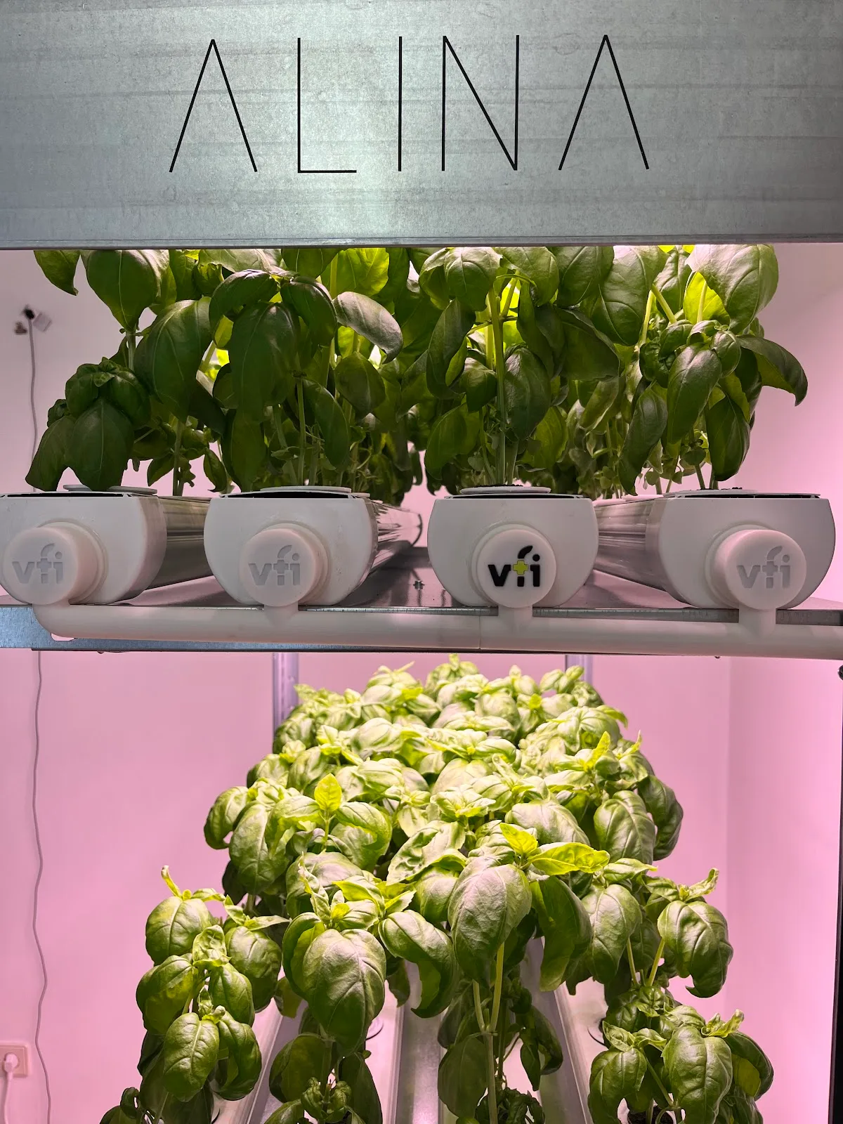 vertical farm institute GmbH