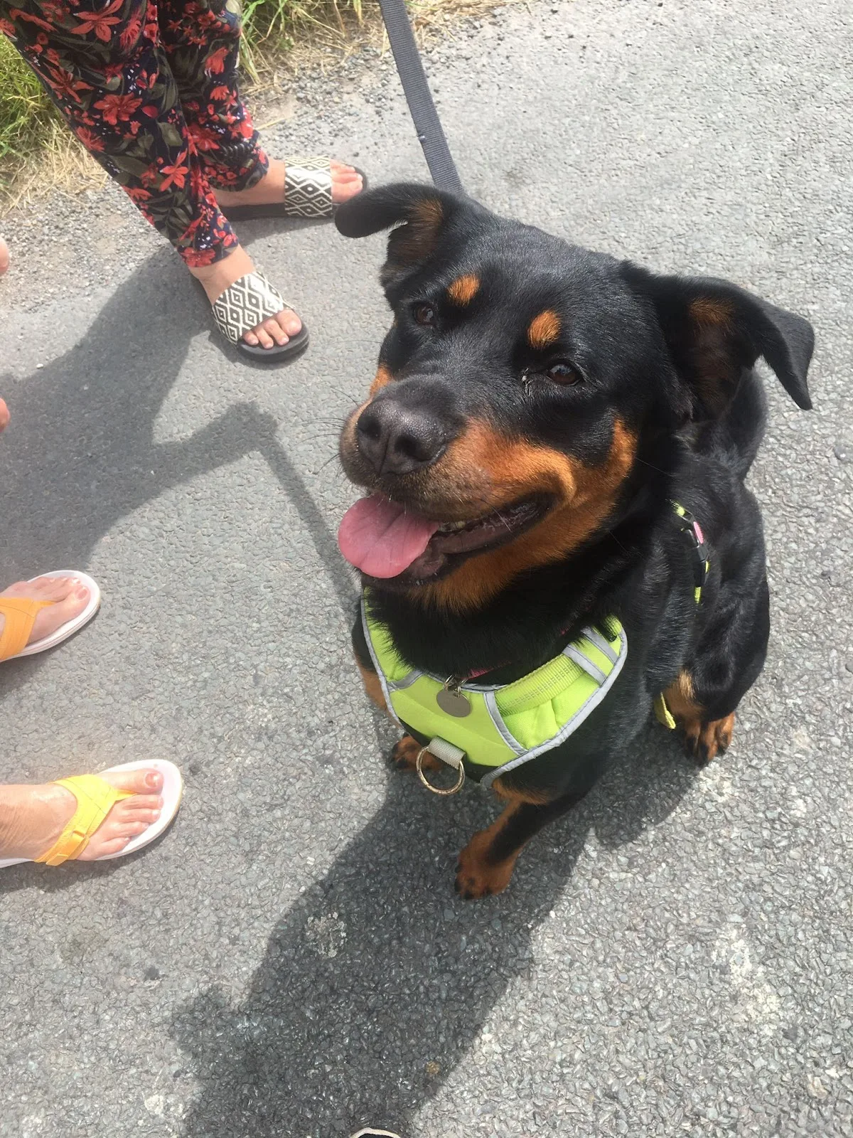 Longview Animal Centre
