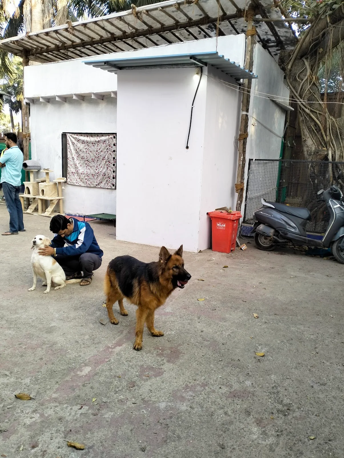 Youth Organisation In Defence Of Animals