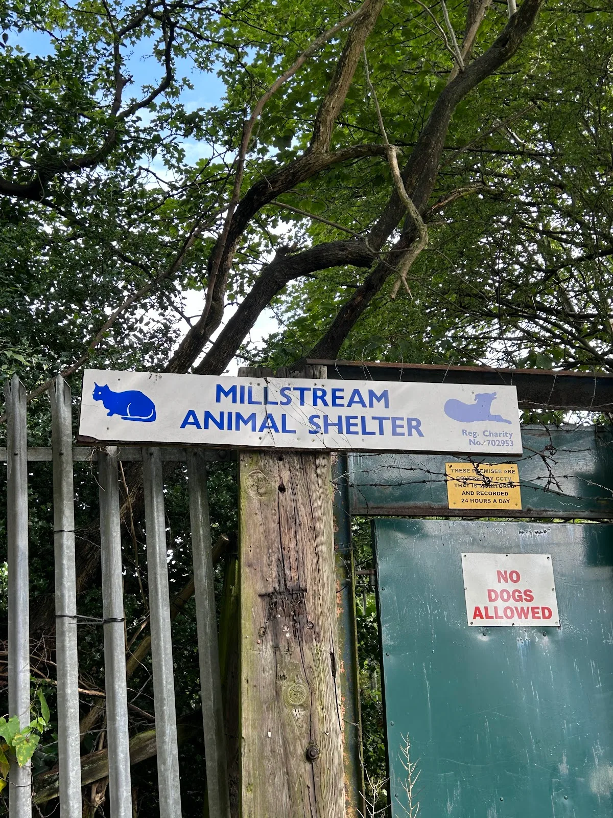 Millstream Animal Shelter