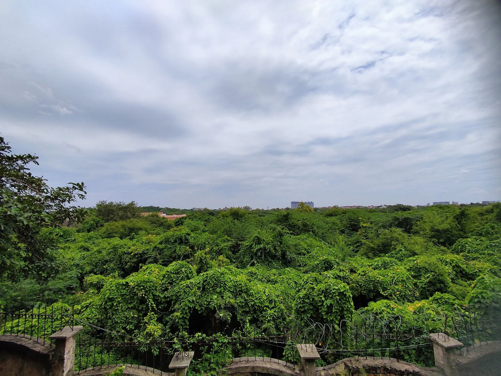 ROCK GARDEN