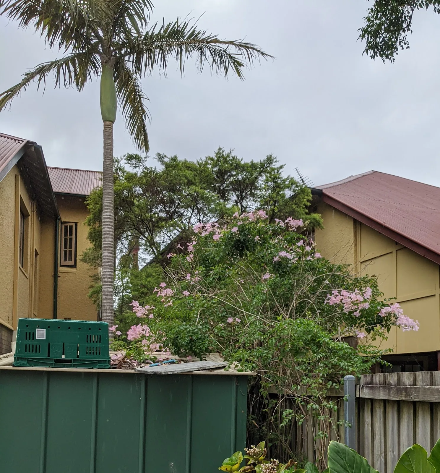 Sydney Multicultural Community Services