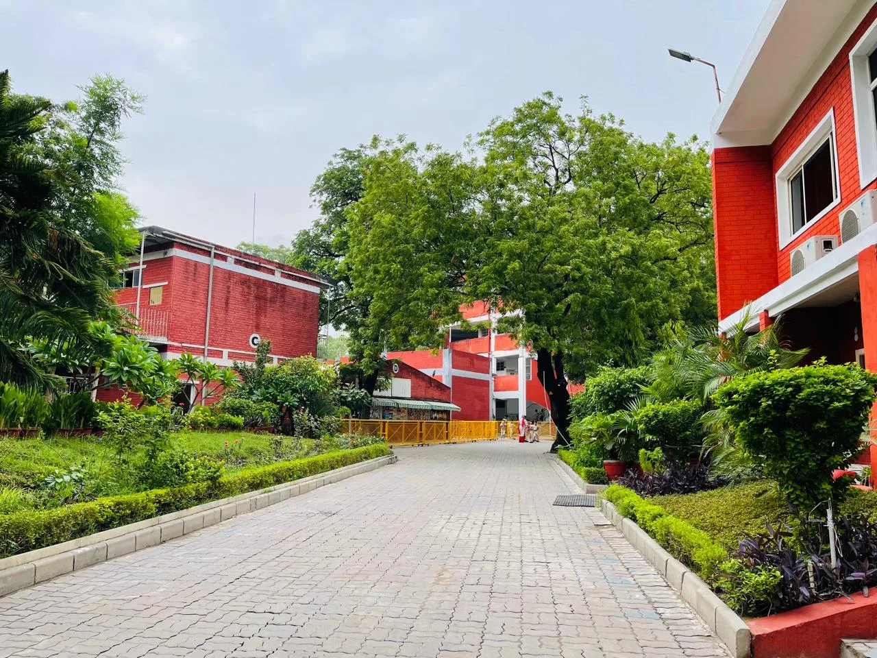 New Horizon School