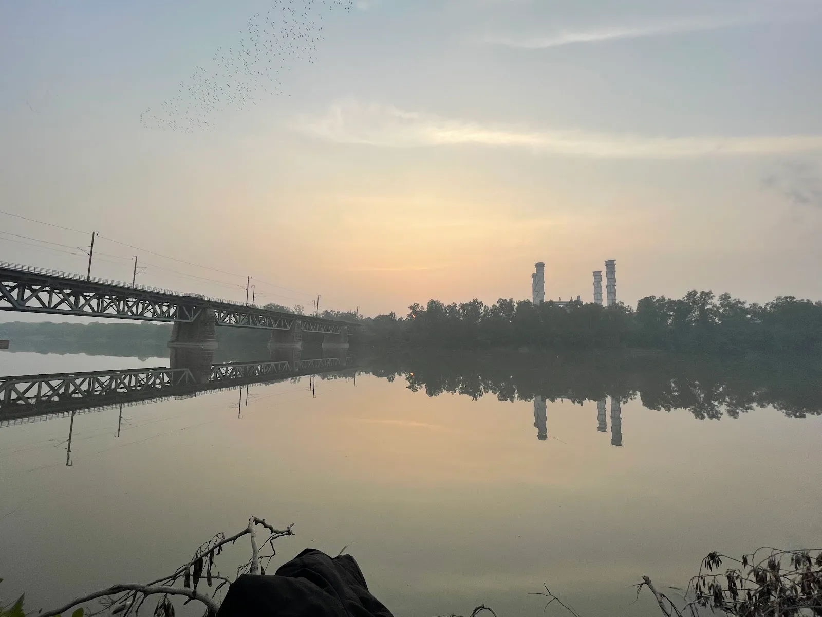 Yamuna Bank Forest Area