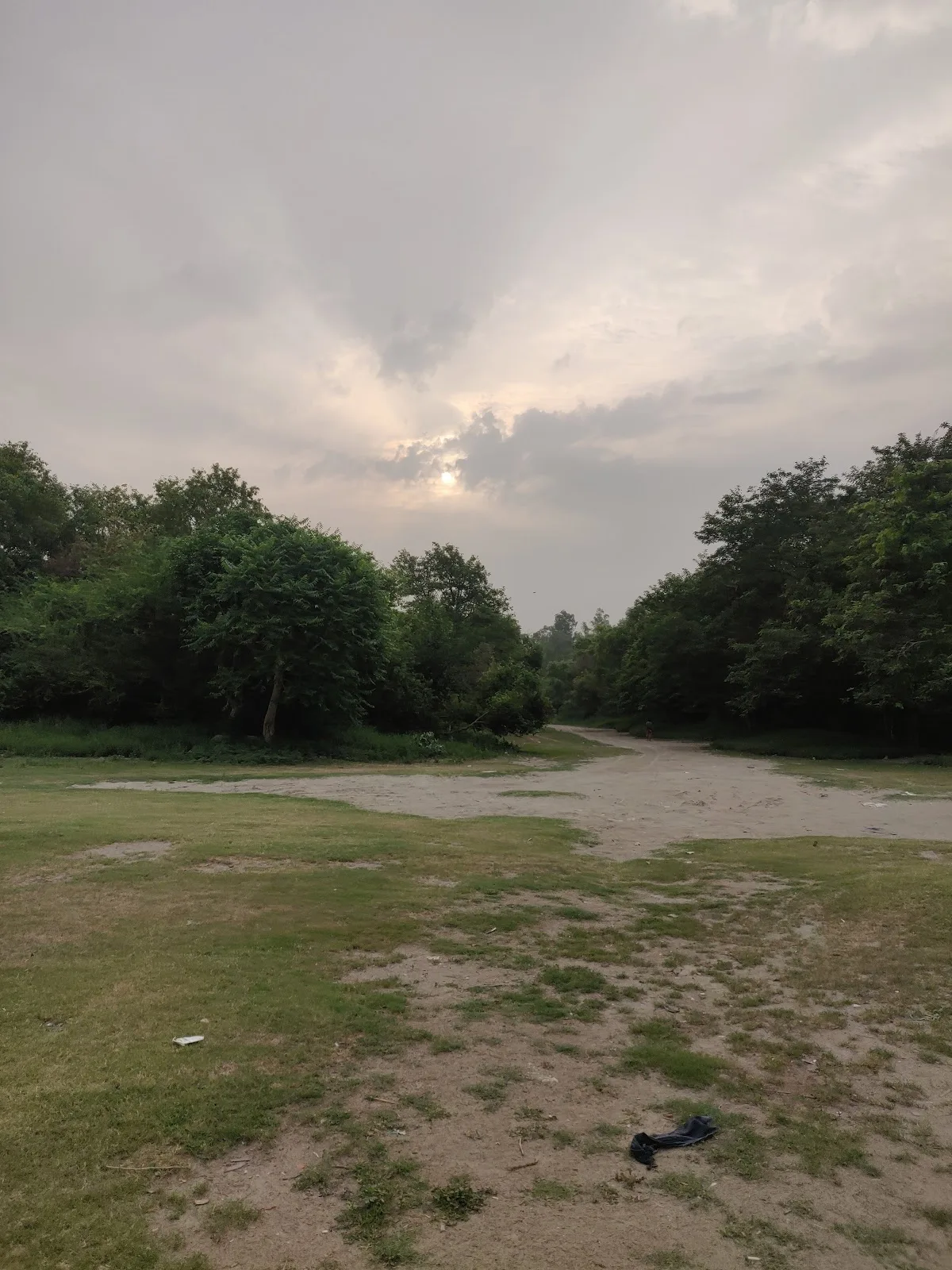 Yamuna Bank Forest Area