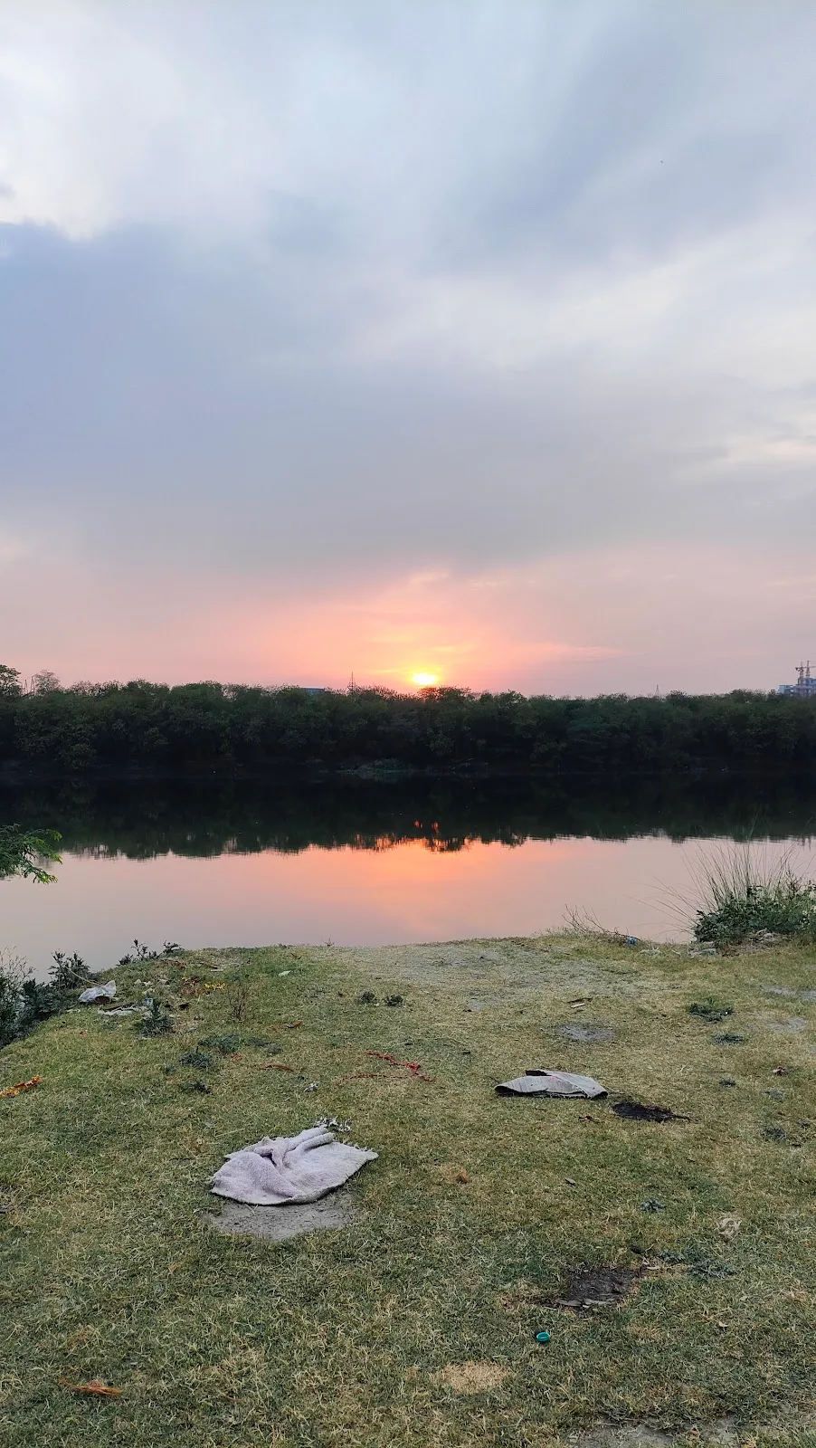 Yamuna Bank Forest Area