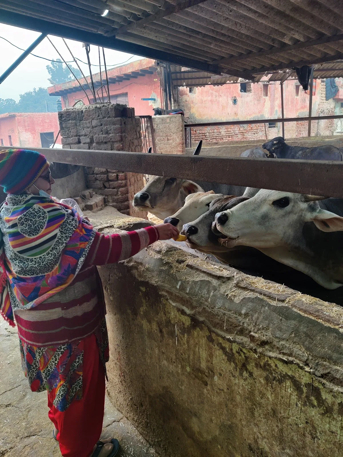 Sanjay Gandhi Animal Care Centre