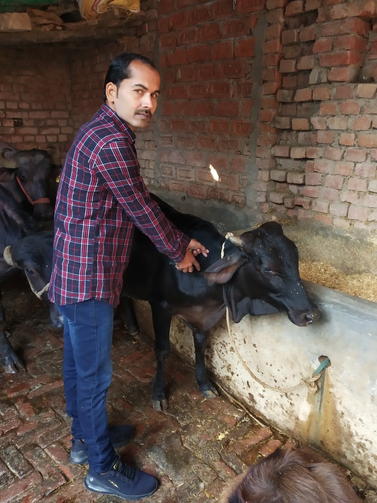Sanjay Gandhi Animal Care Centre