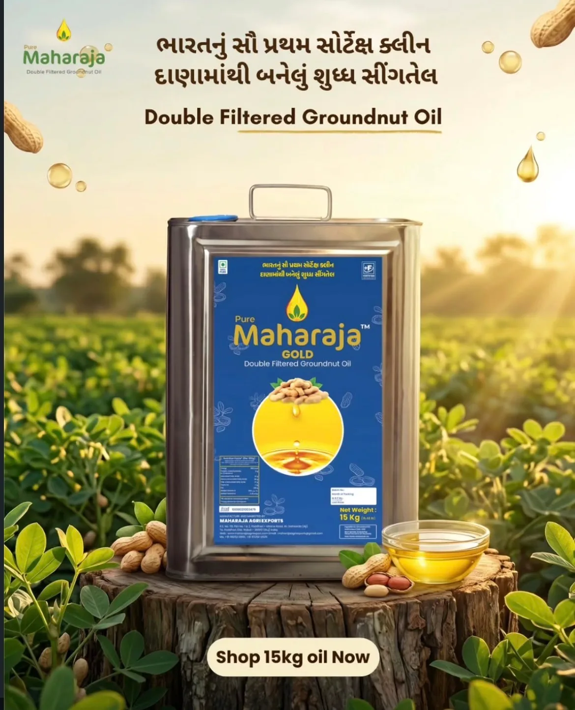 MAHARAJA AGRI EXPORT