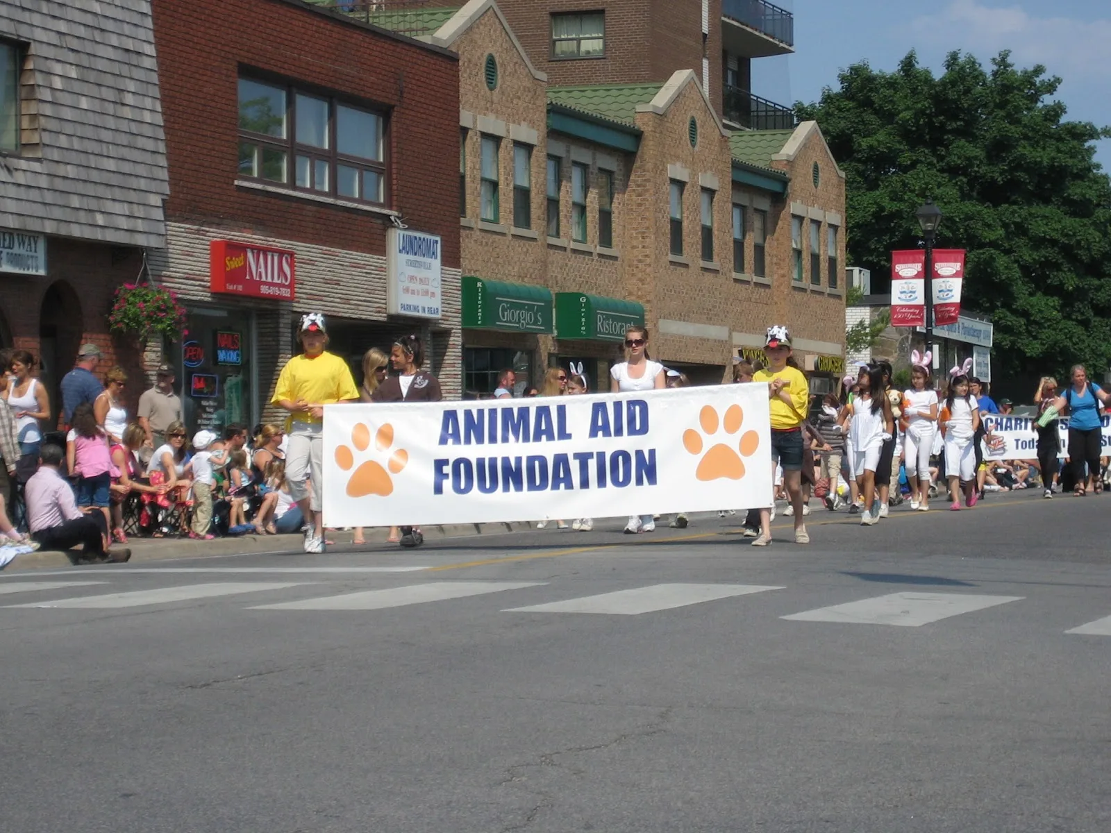 Animal Aid Foundation