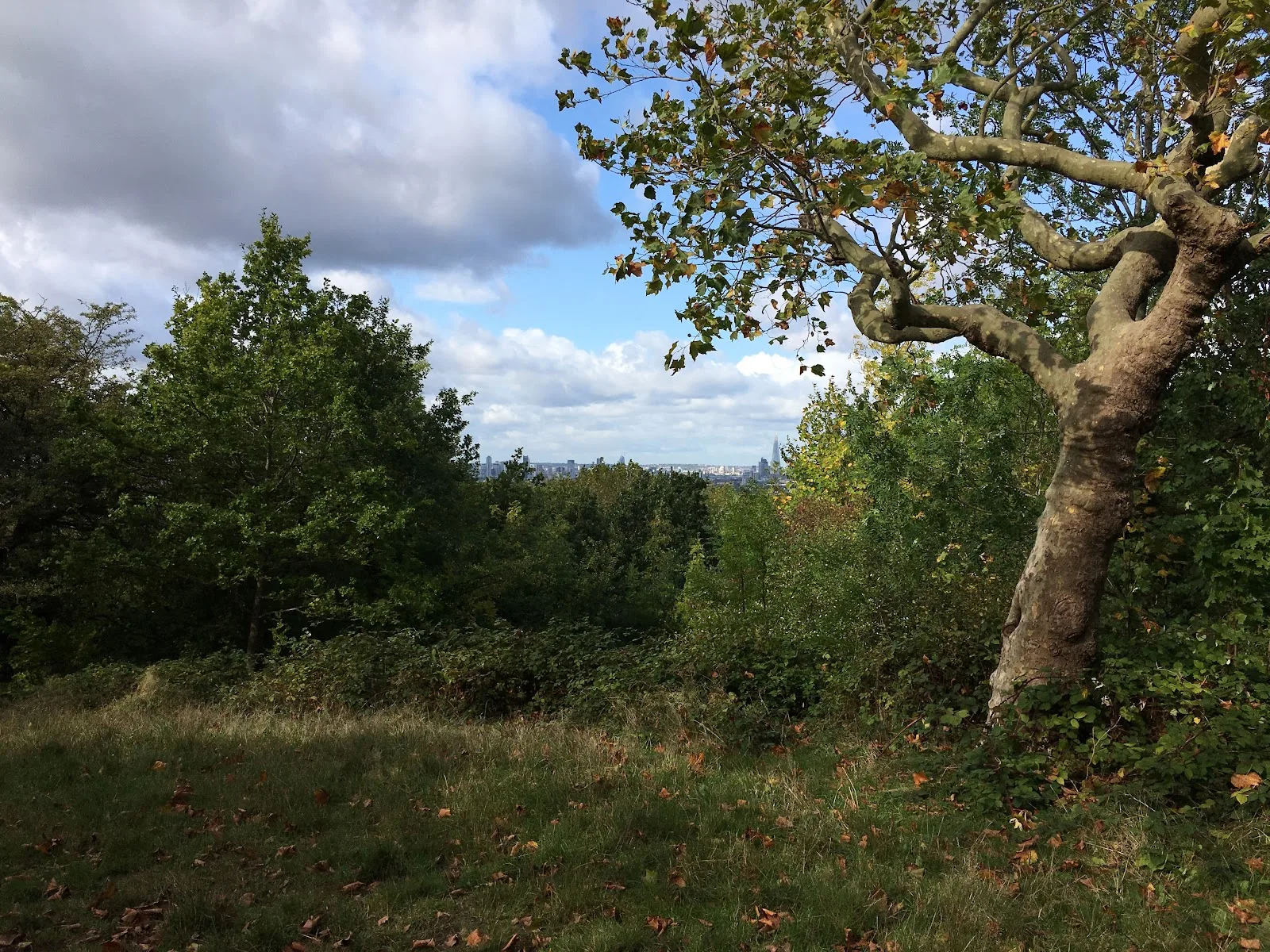 CPRE London