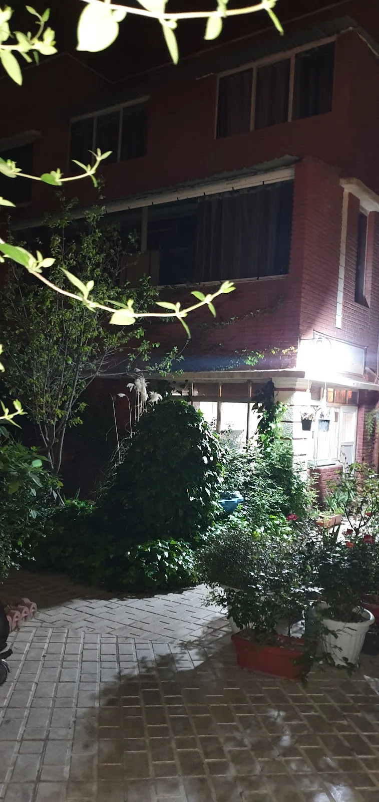 نهضت اجتماعی جوانان