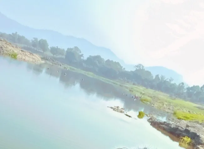 Shivaa NGO
