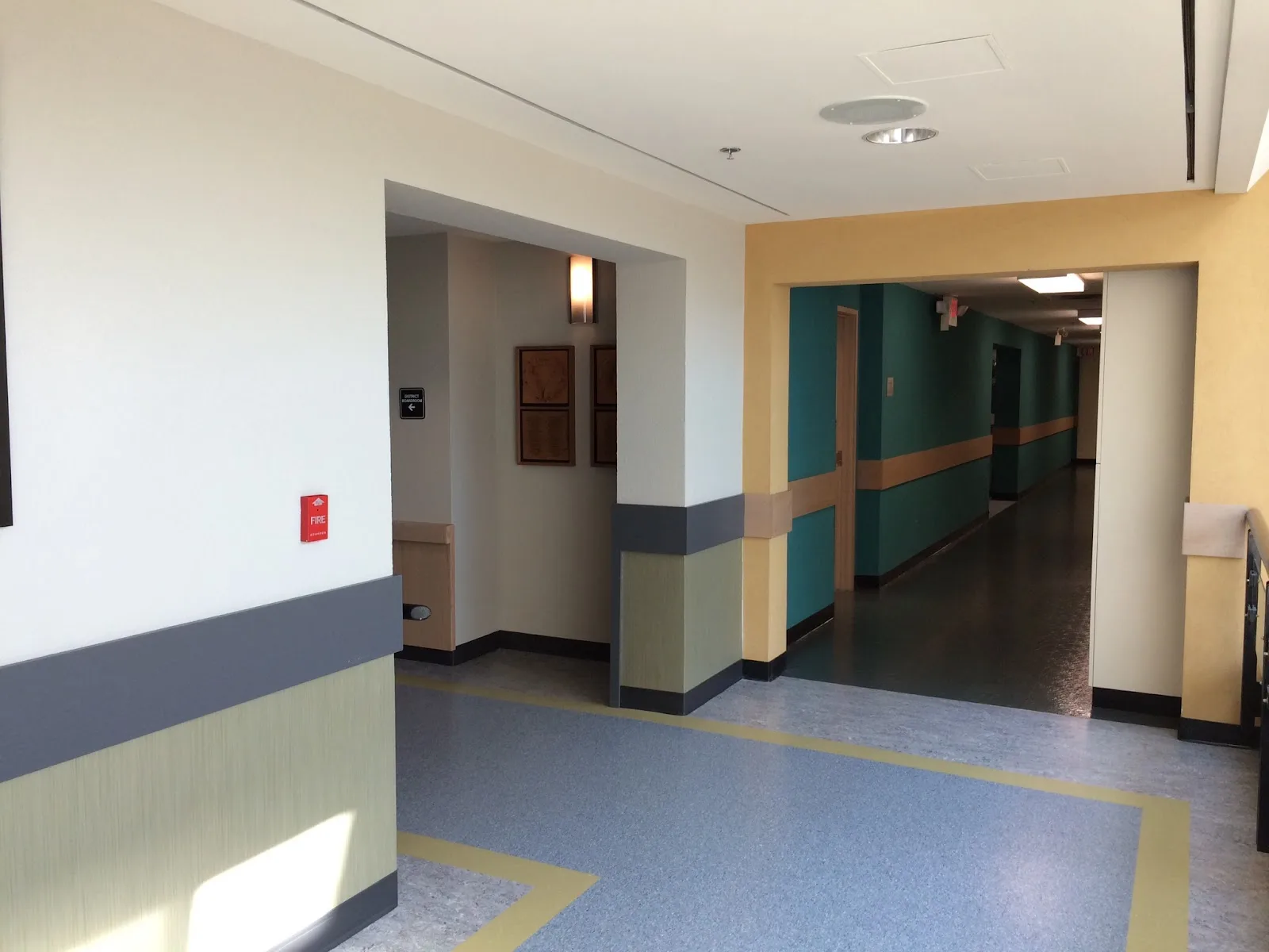CNIB