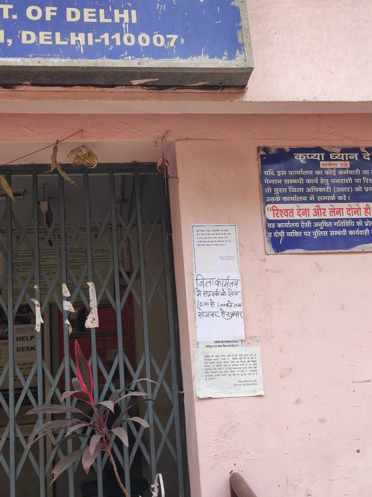 Department of Social Welfare