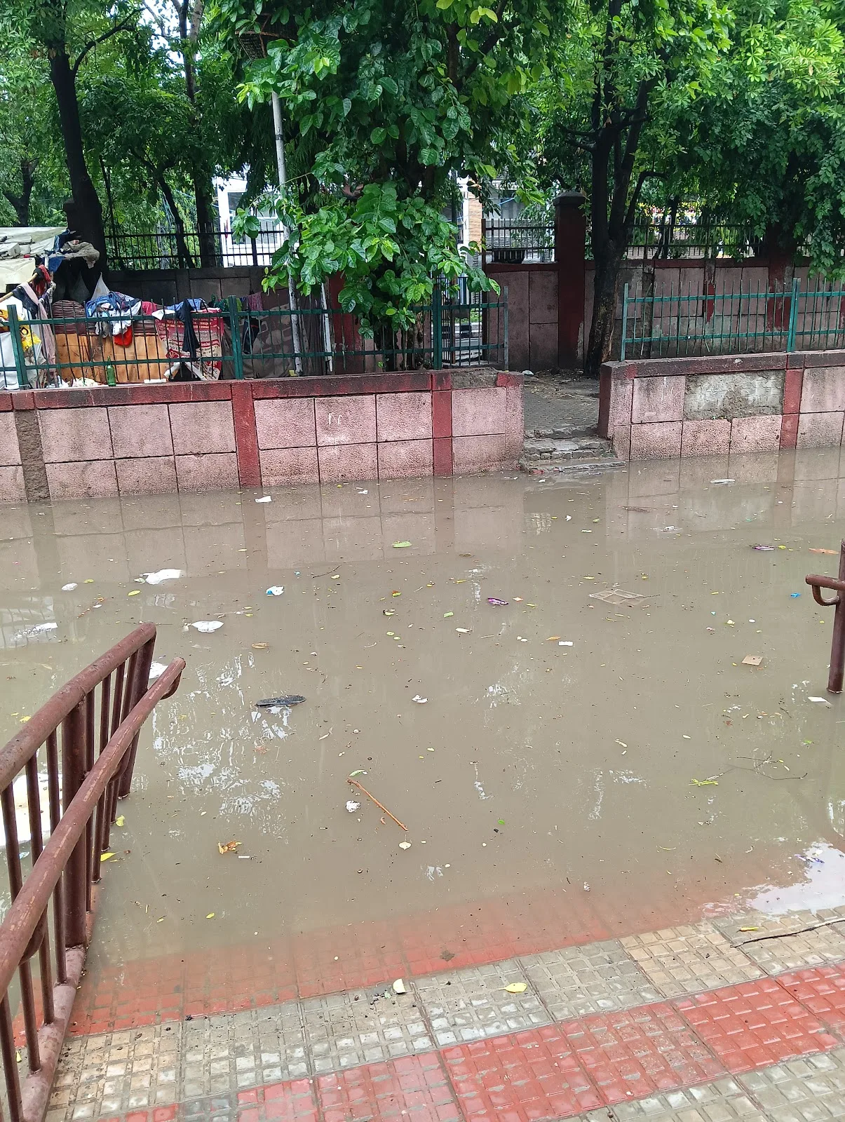 Department of Social Welfare