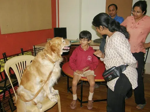 Animal Angels Foundation