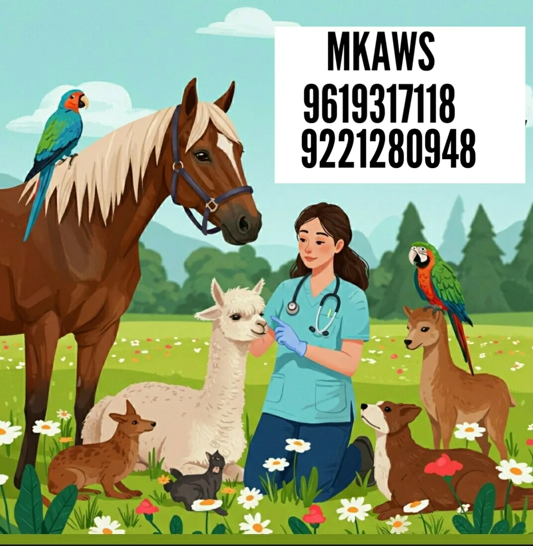 MUMBRA ANIMAL WELFARE SOCIETY(MUMBRA PETS CLINIC)