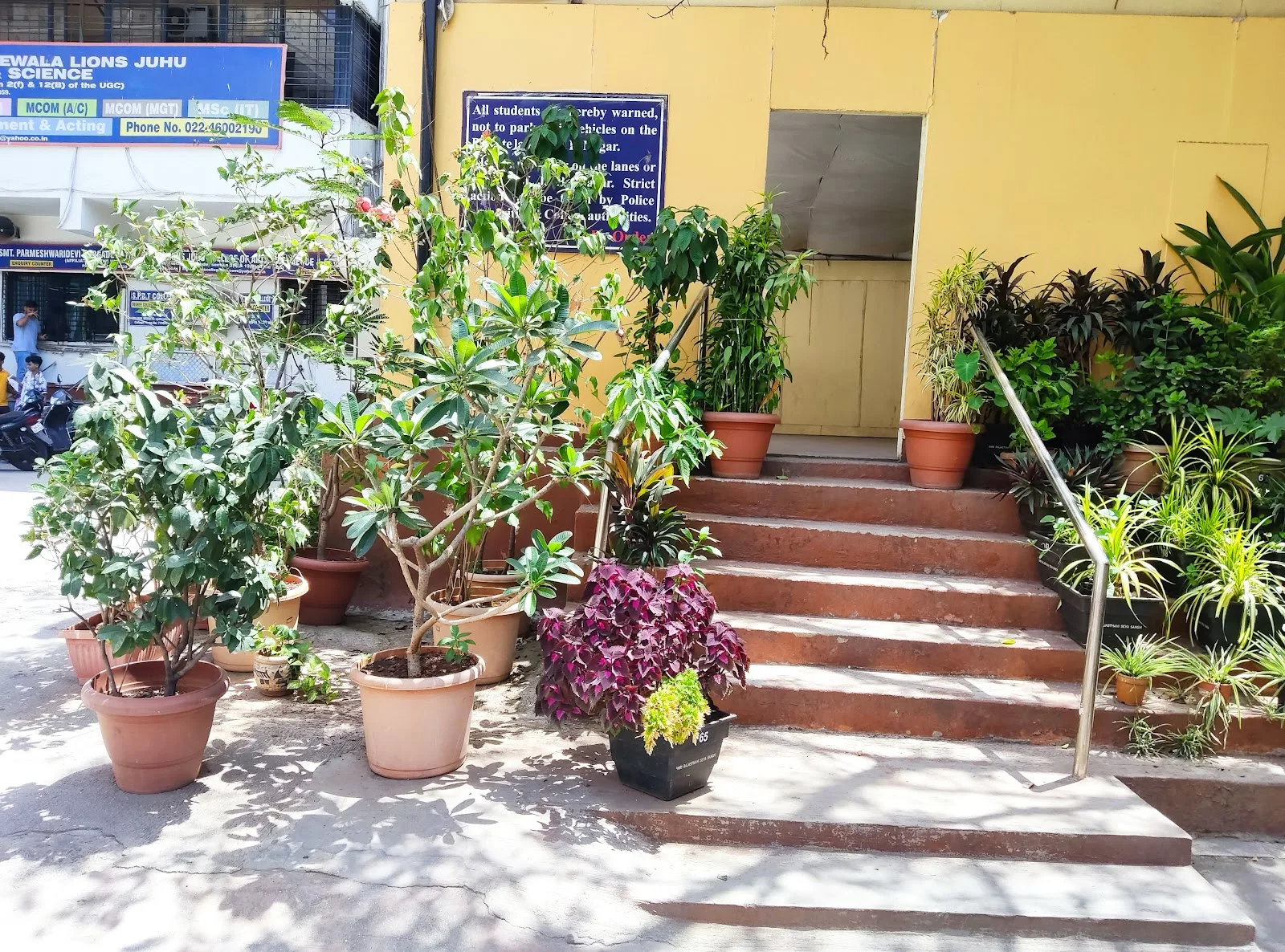 MyGreenSociety