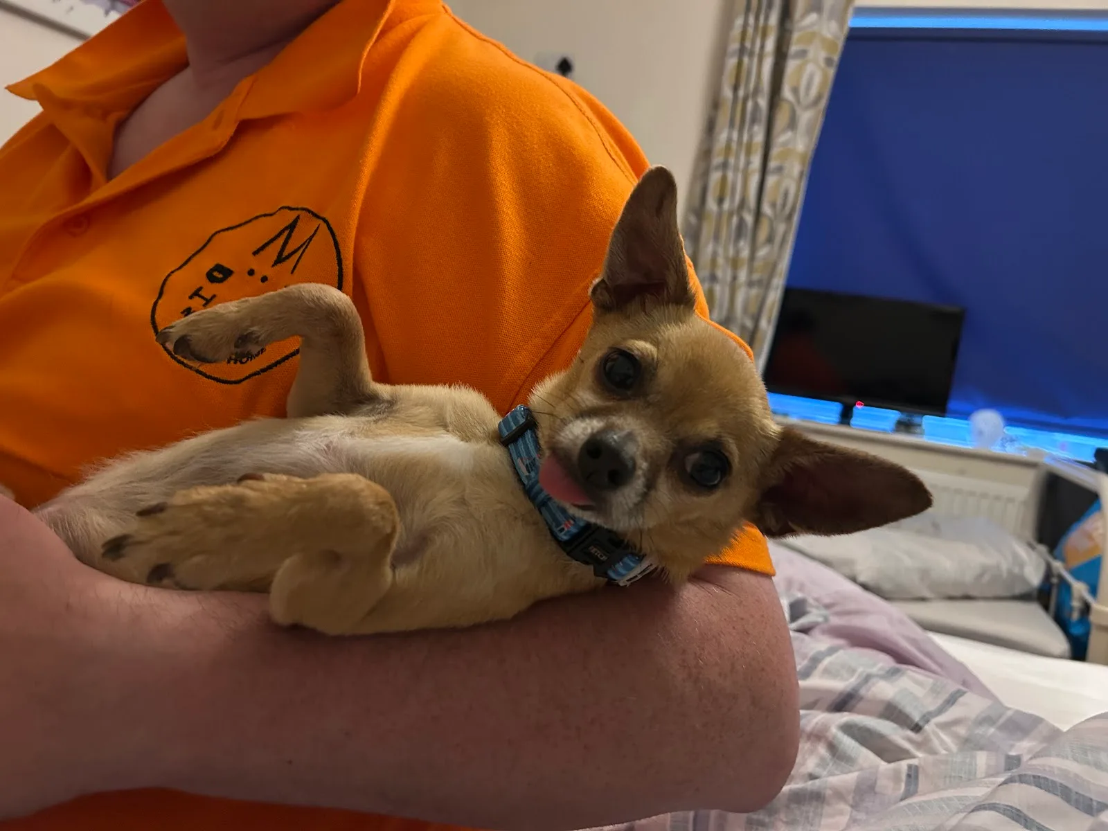 Manchester & Cheshire Dogs' Home