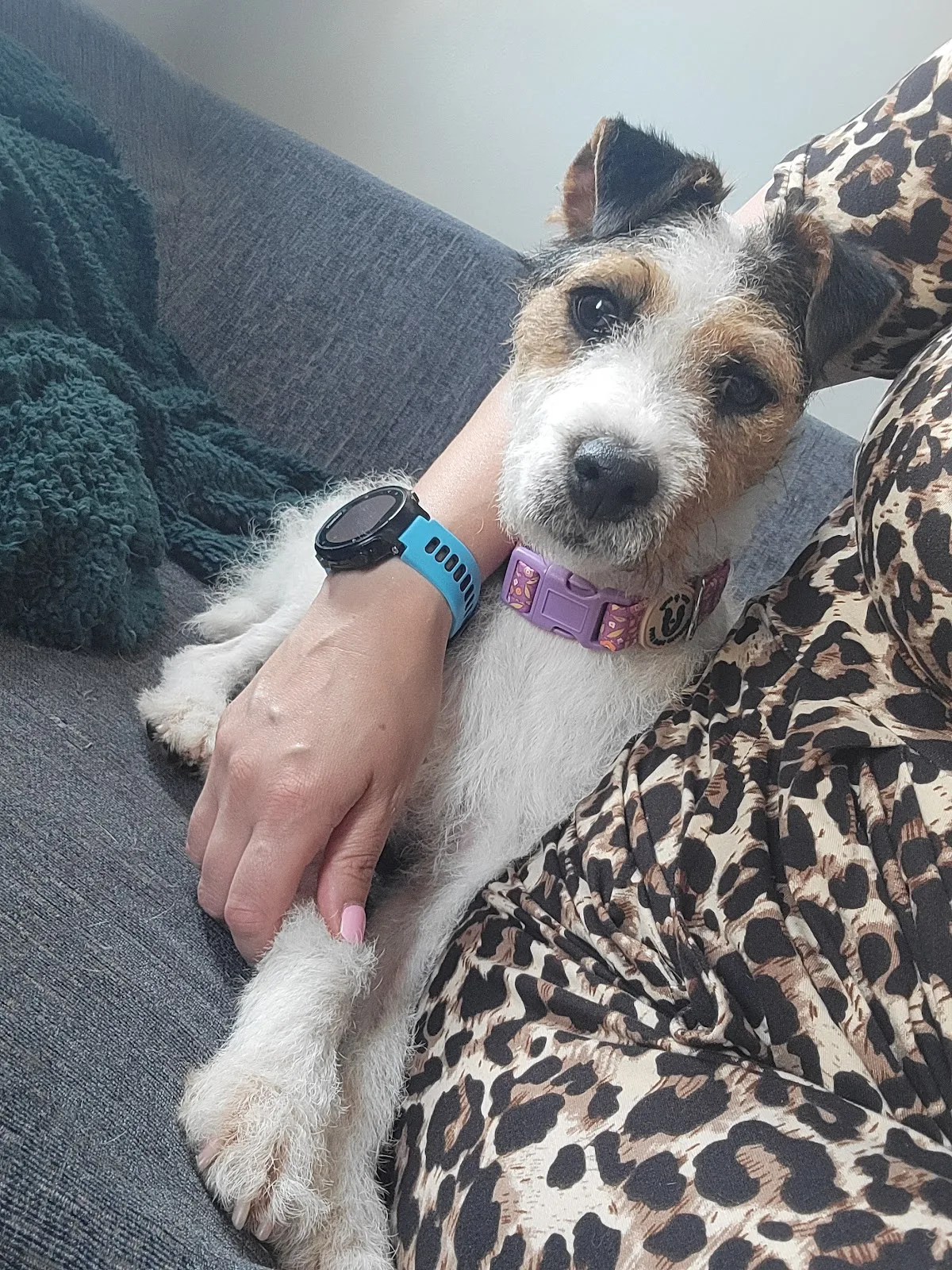 Manchester & Cheshire Dogs' Home