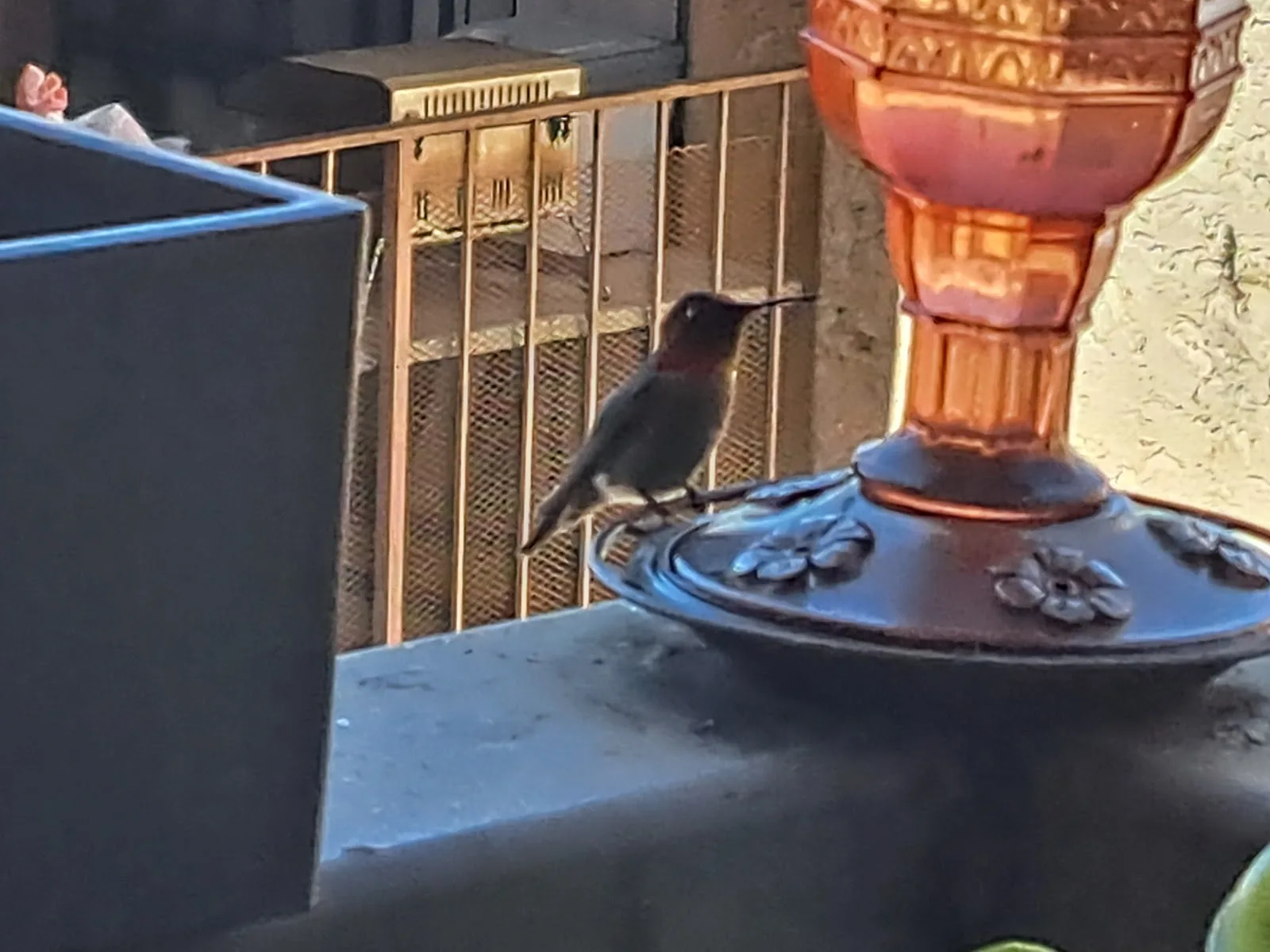 Heart of Los Angeles (HOLA)