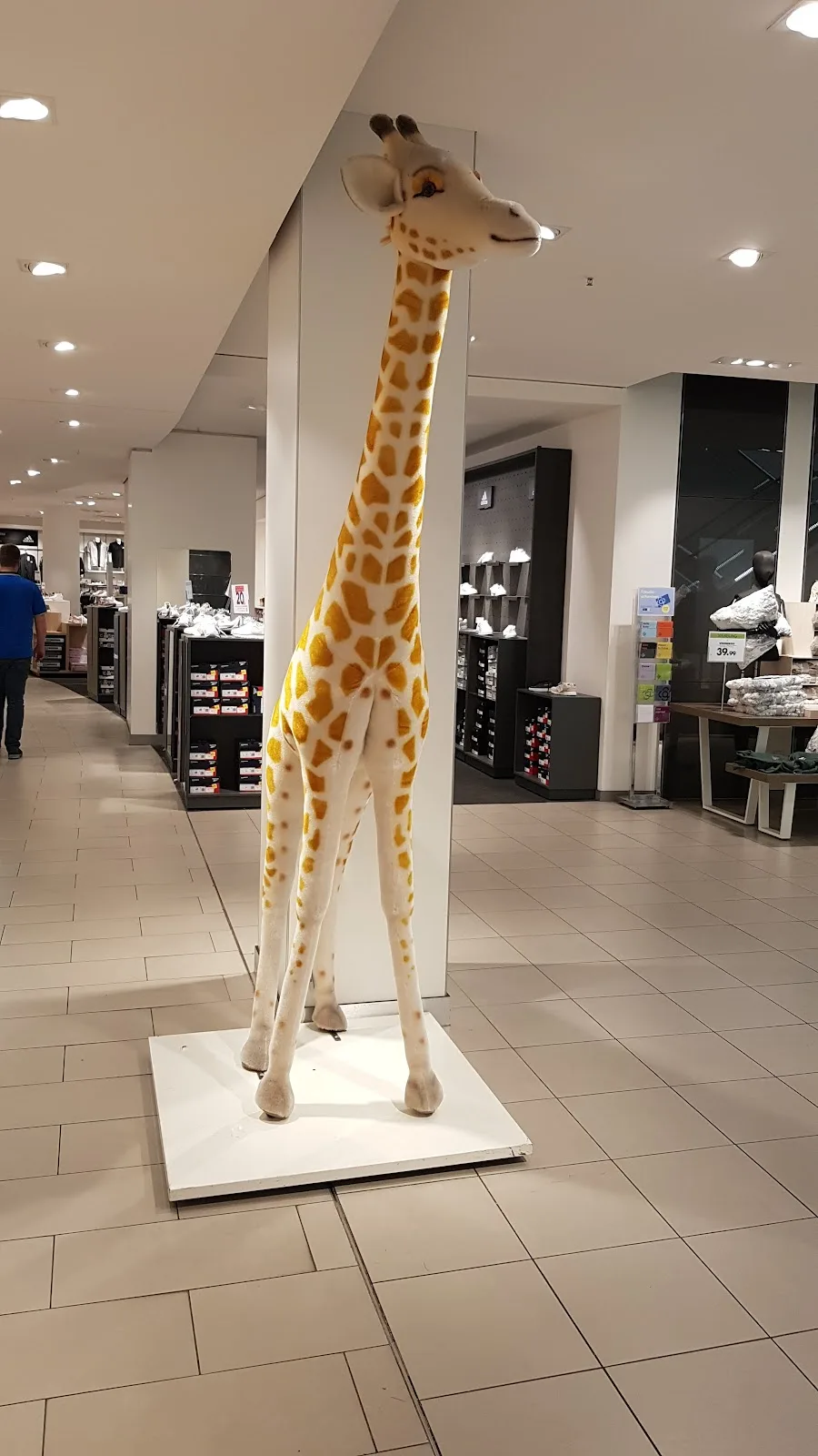 Galeria